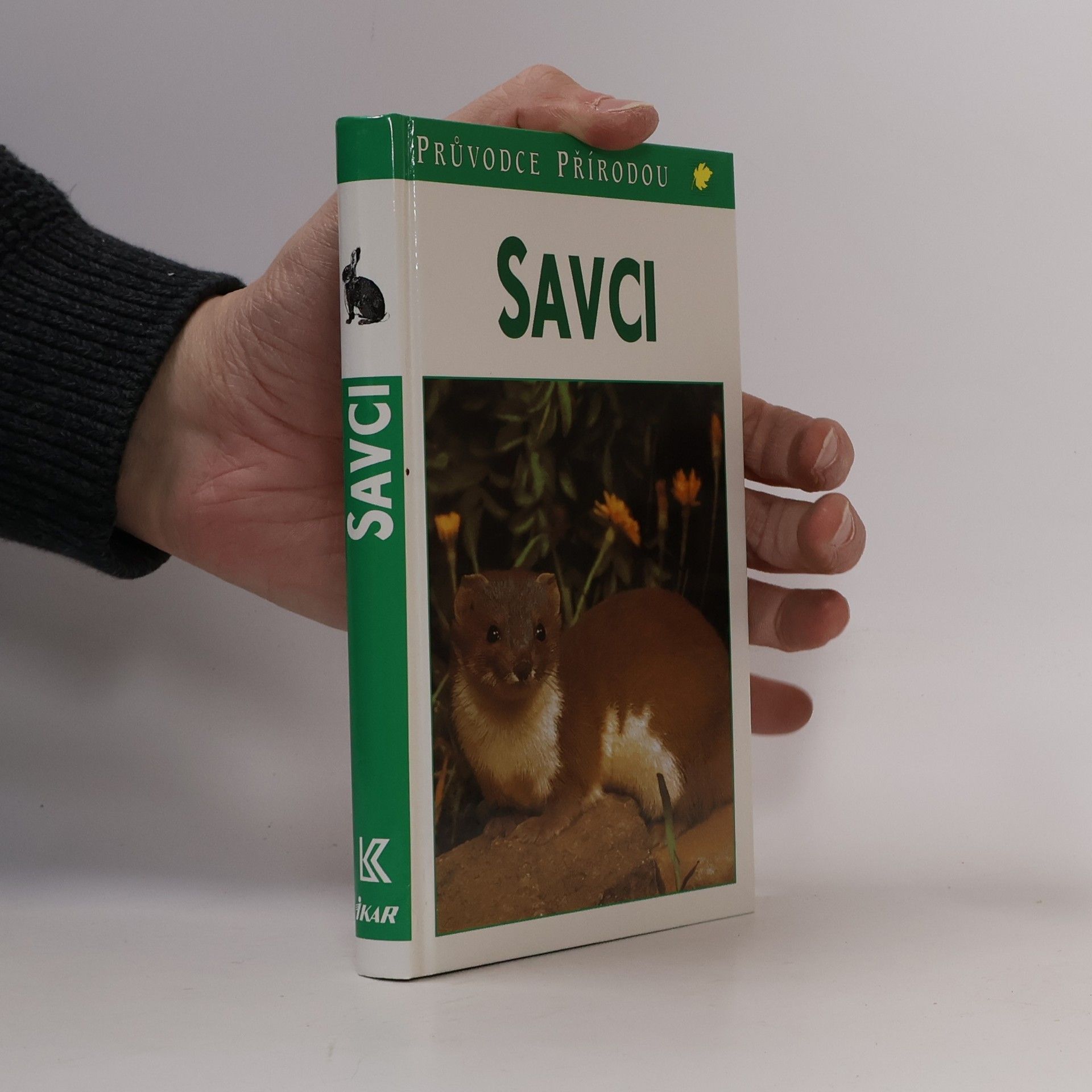 Gunter Steinbach Savci