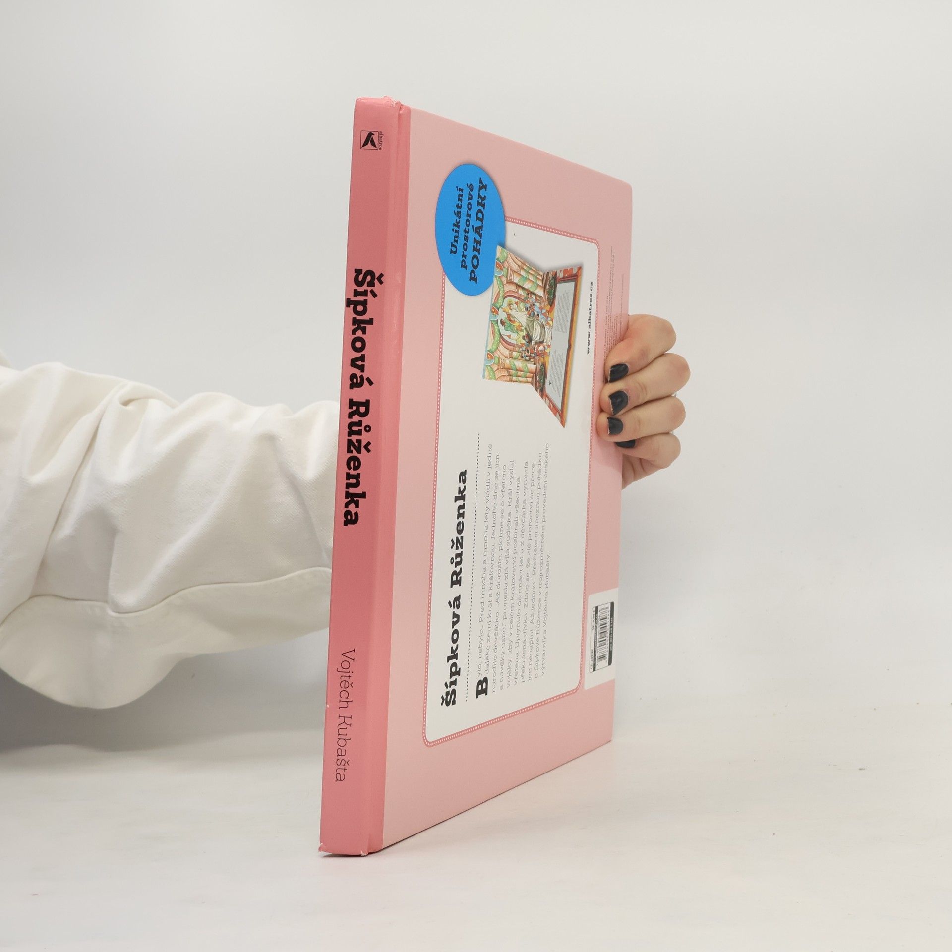 Vojtěch Kubašta Šípková Růženka