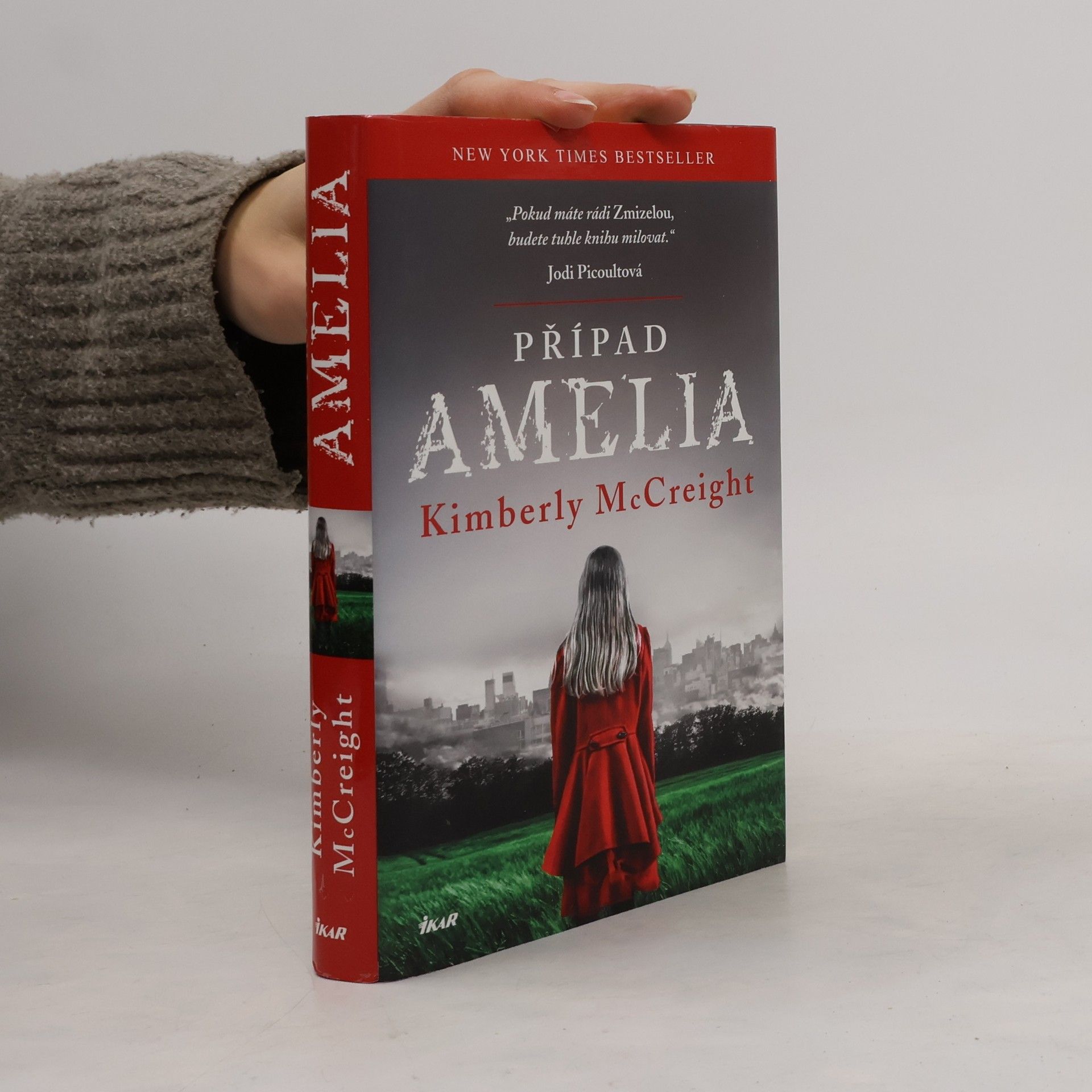 Kimberly McCreight Případ Amelia