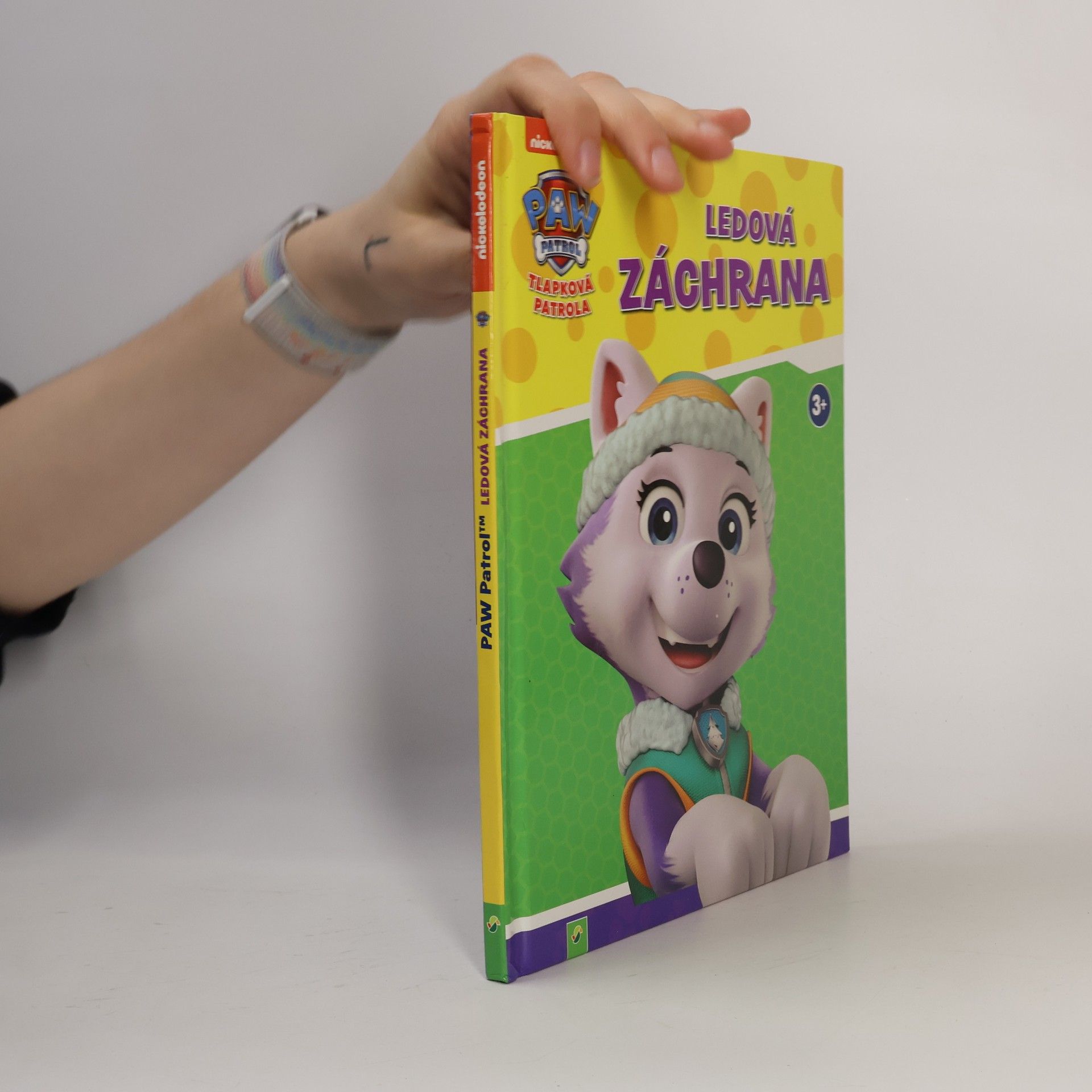 Autorenkollektiv Tlapková patrola. Ledová záchrana