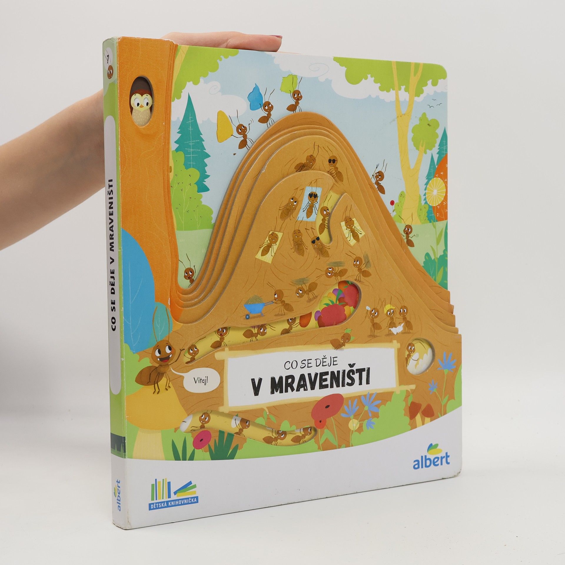 Auteurscollectief Co se děje v mraveništi