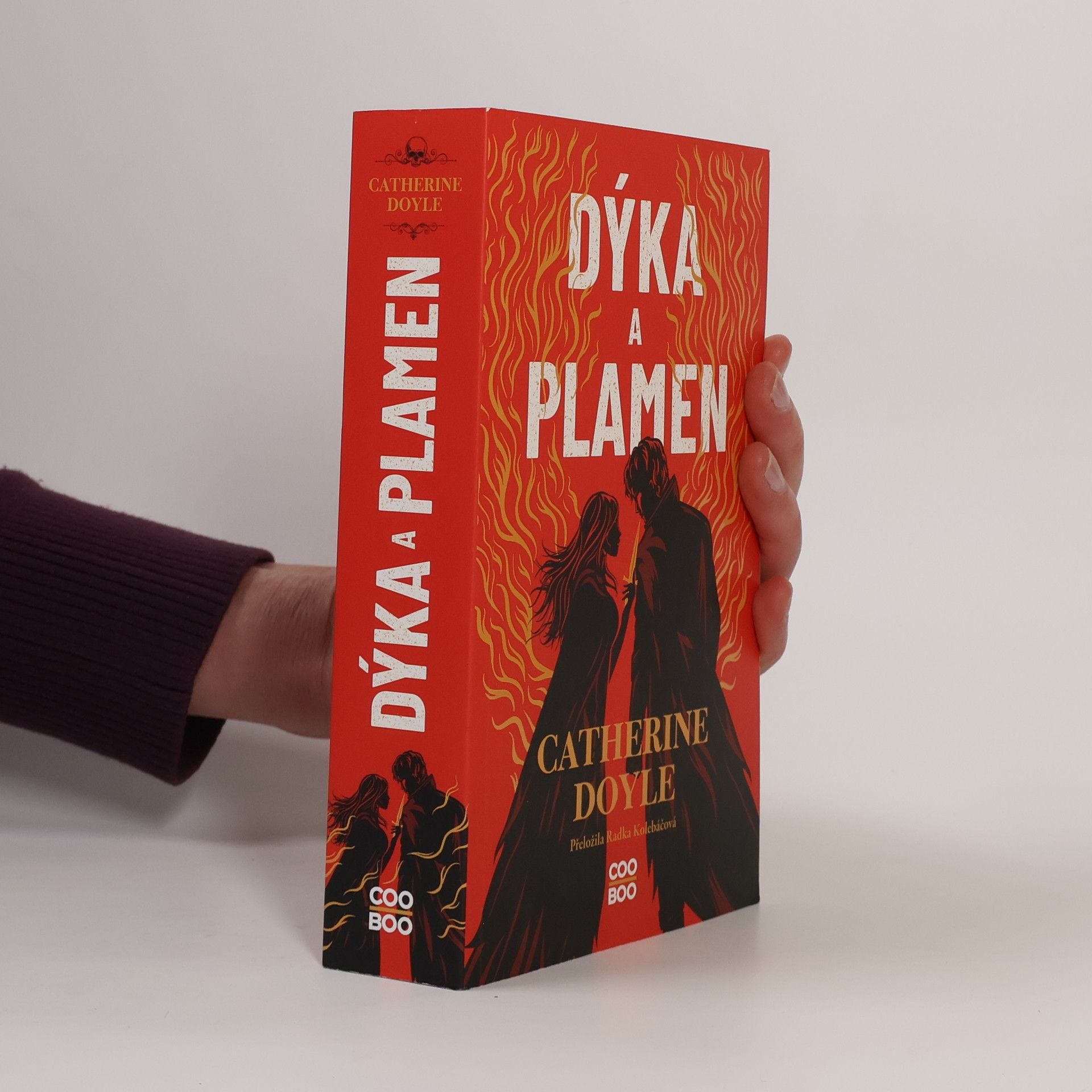 Catherine Doyle Dýka a plamen