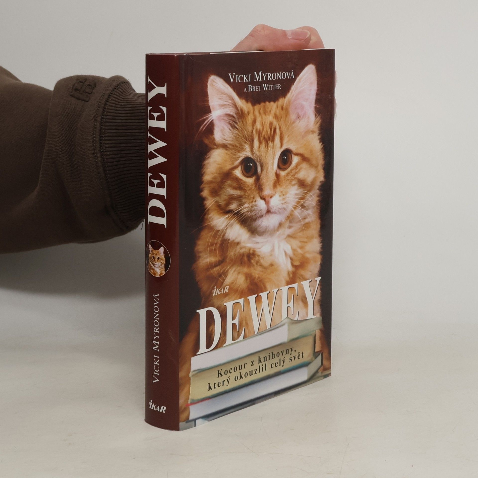 Vicki Myron Dewey. Kocour z knihovny, který okouzlil celý svět