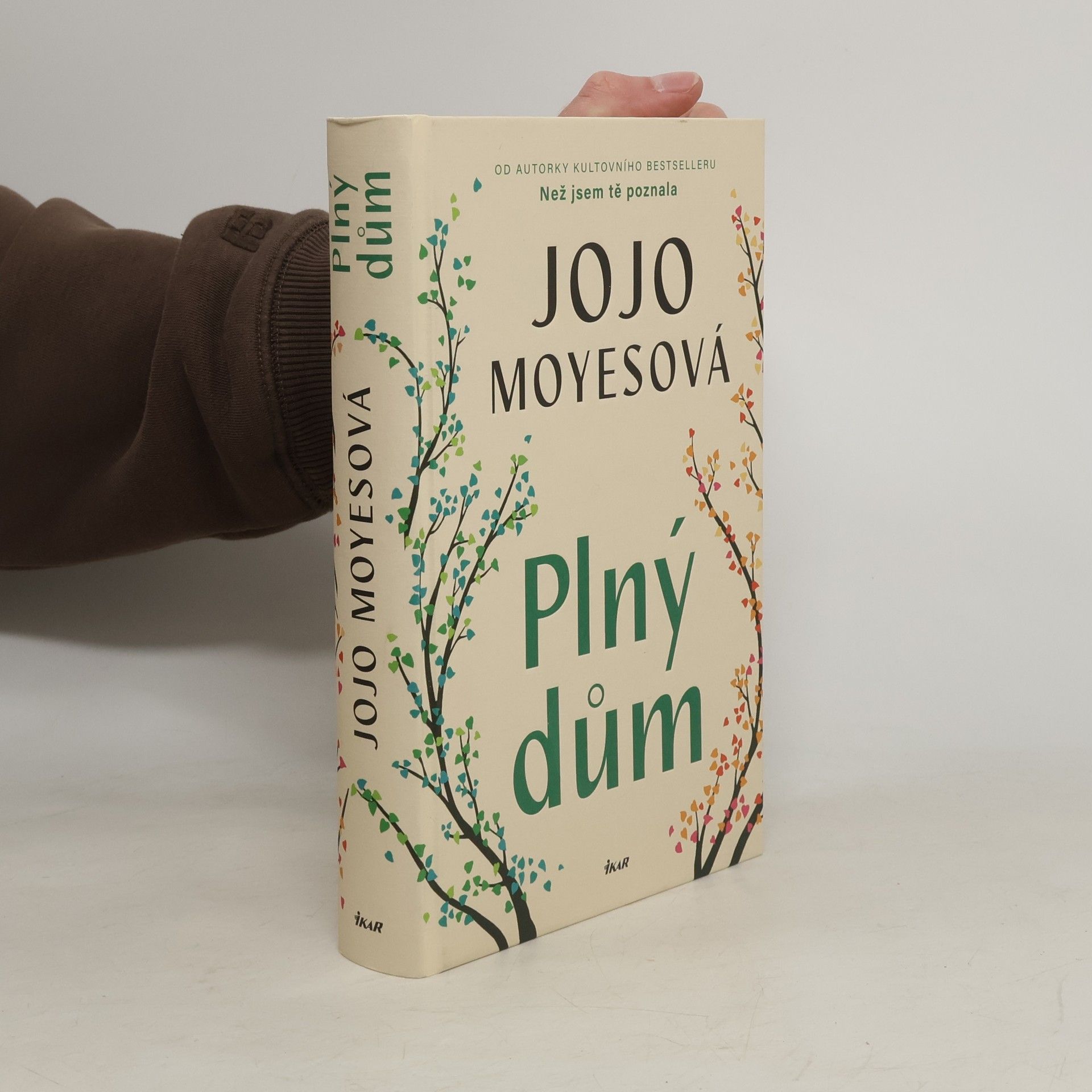 Plný dům