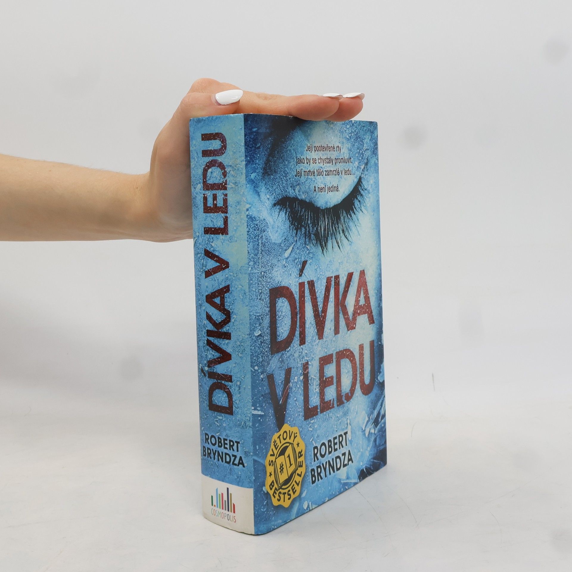Robert Bryndza Dívka v ledu