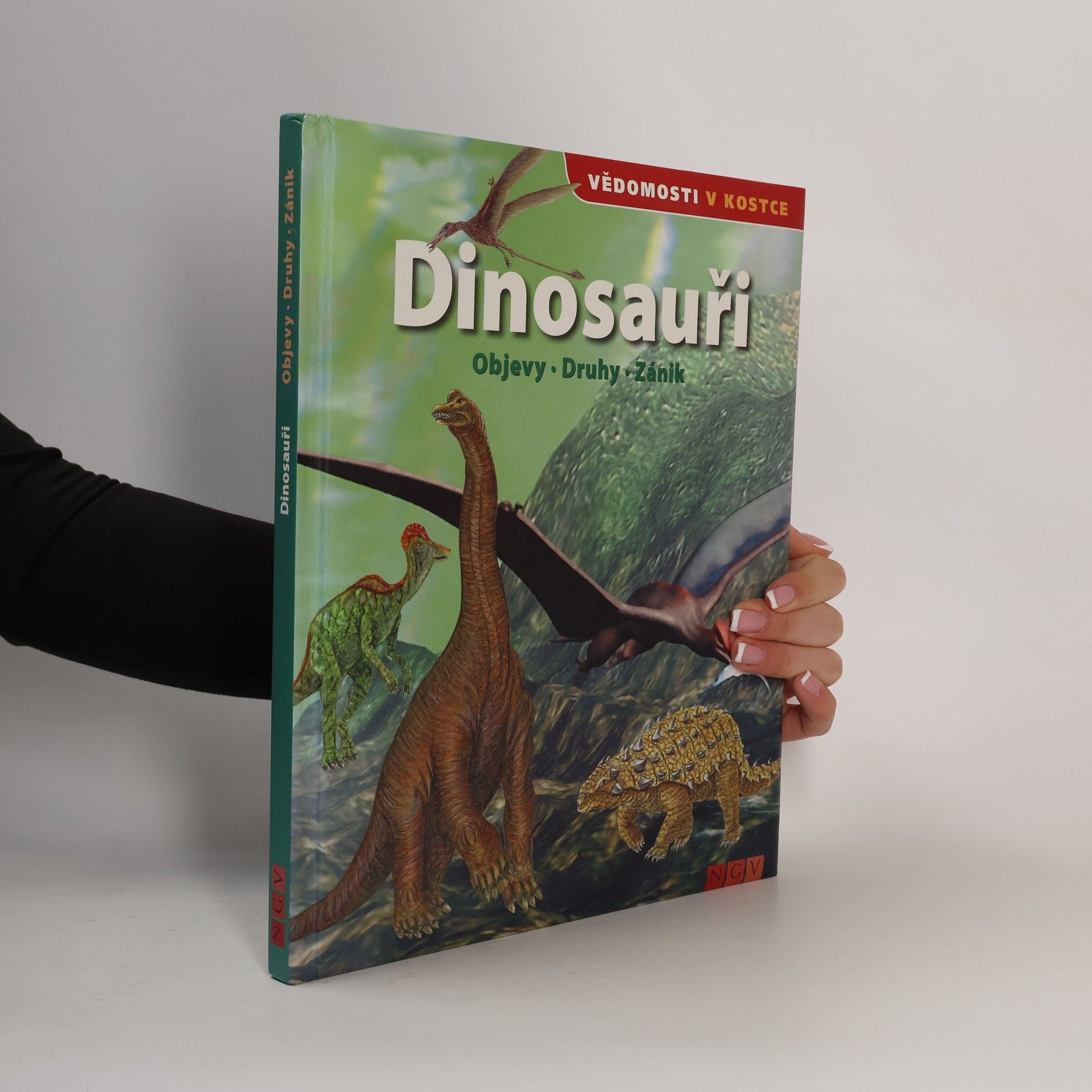 Autores varios Dinosauři