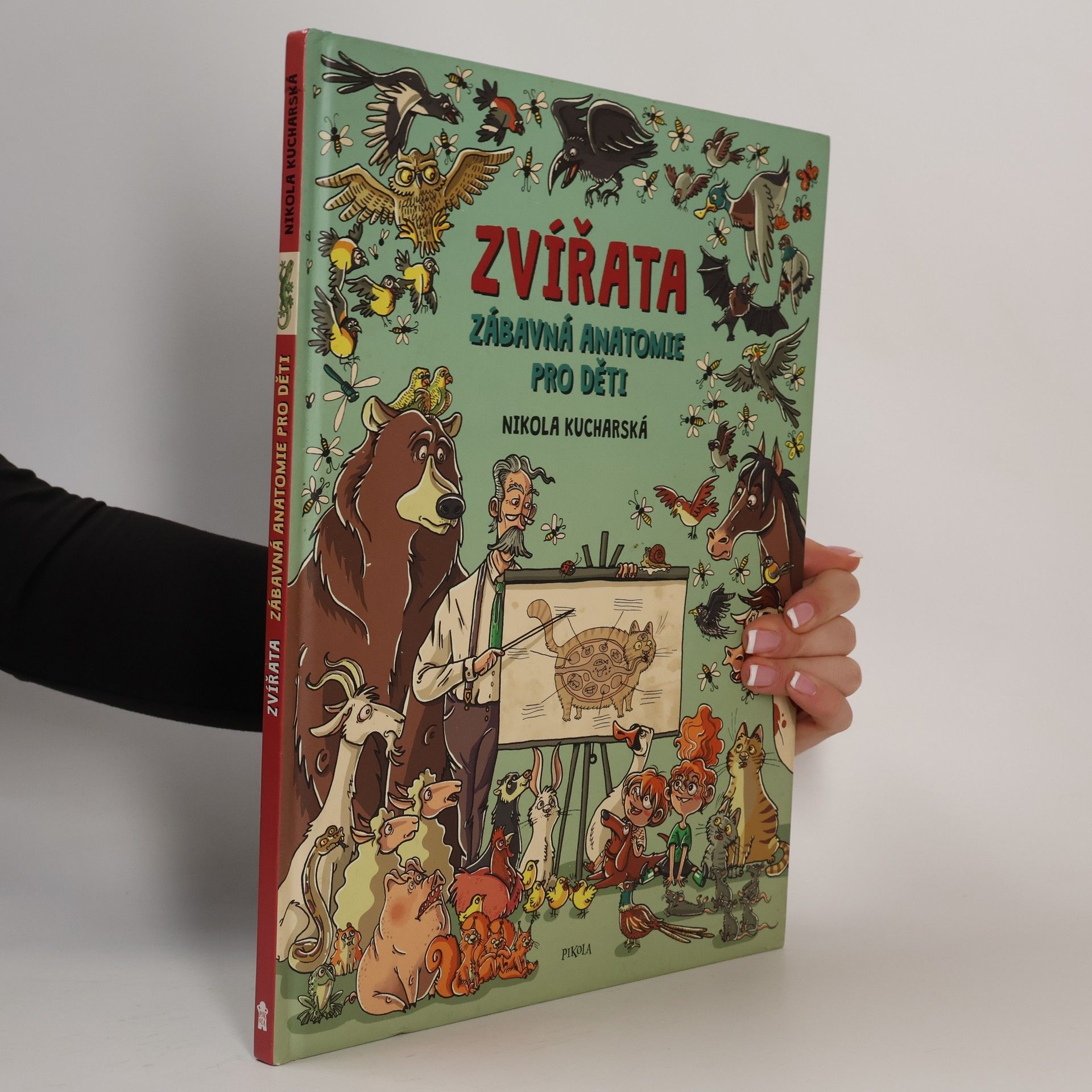 Nikola Kucharska Zvířata: Zábavná anatomie pro děti