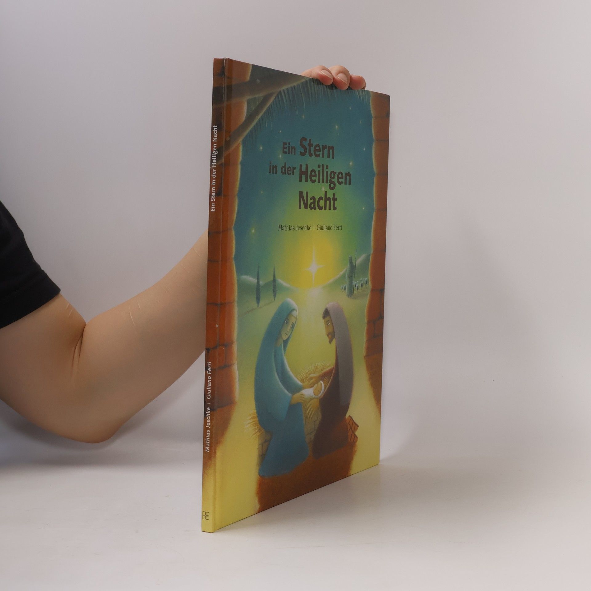 Ein Stern in der Heiligen Nacht