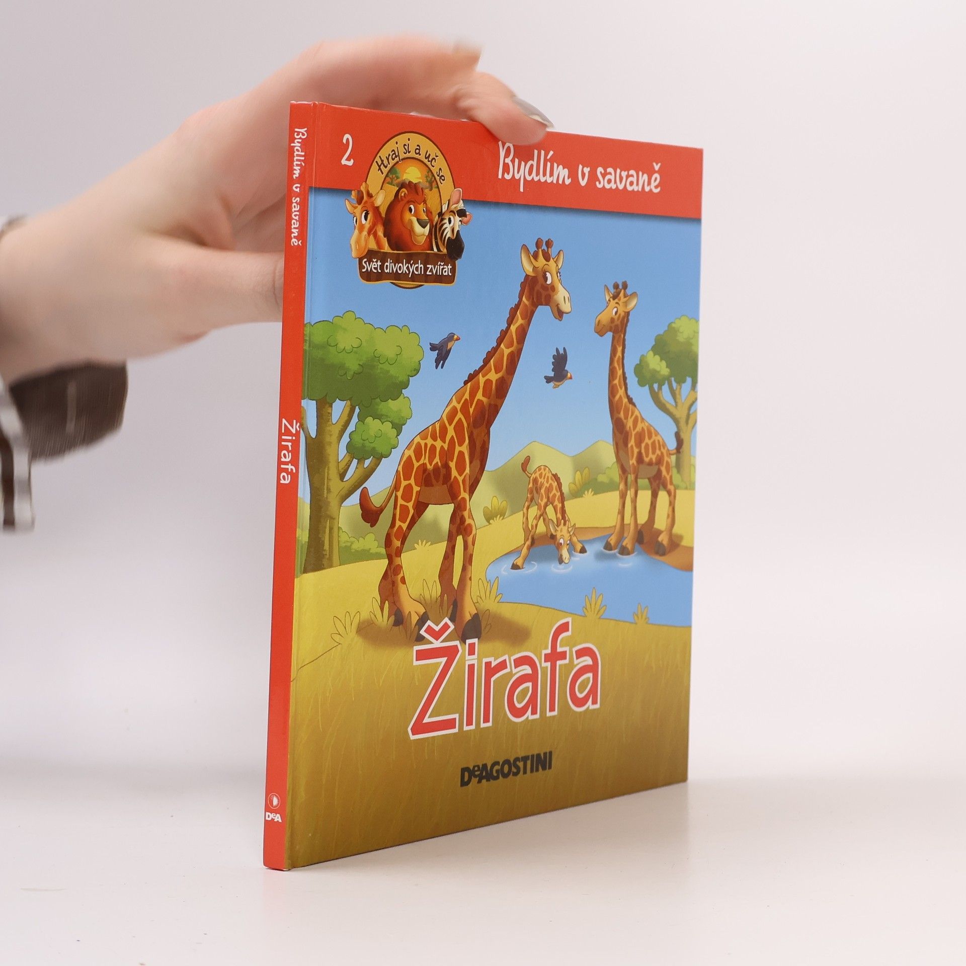 Collectif d'auteurs Bydlím v savaně 1. díl. Lev