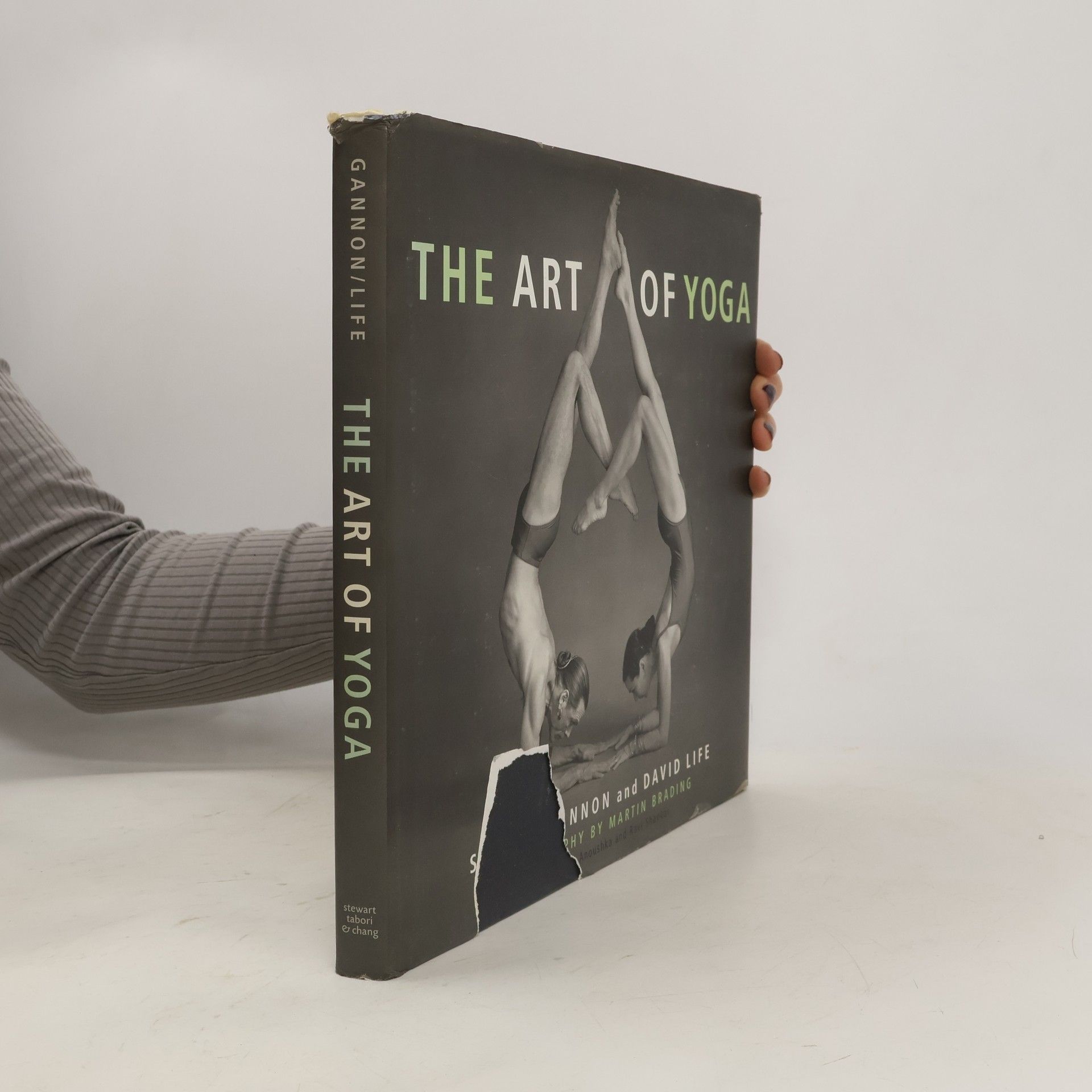 Sharon Gannon The Art of Yoga