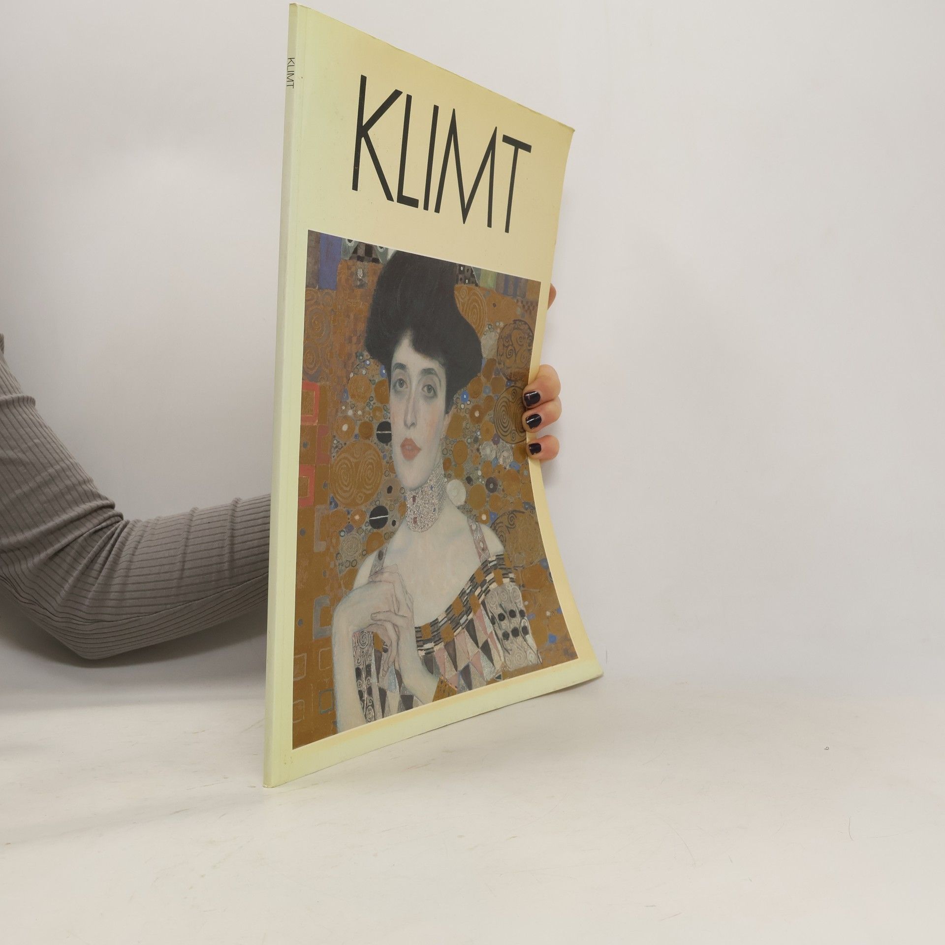 Kolektiv autorů Klimt