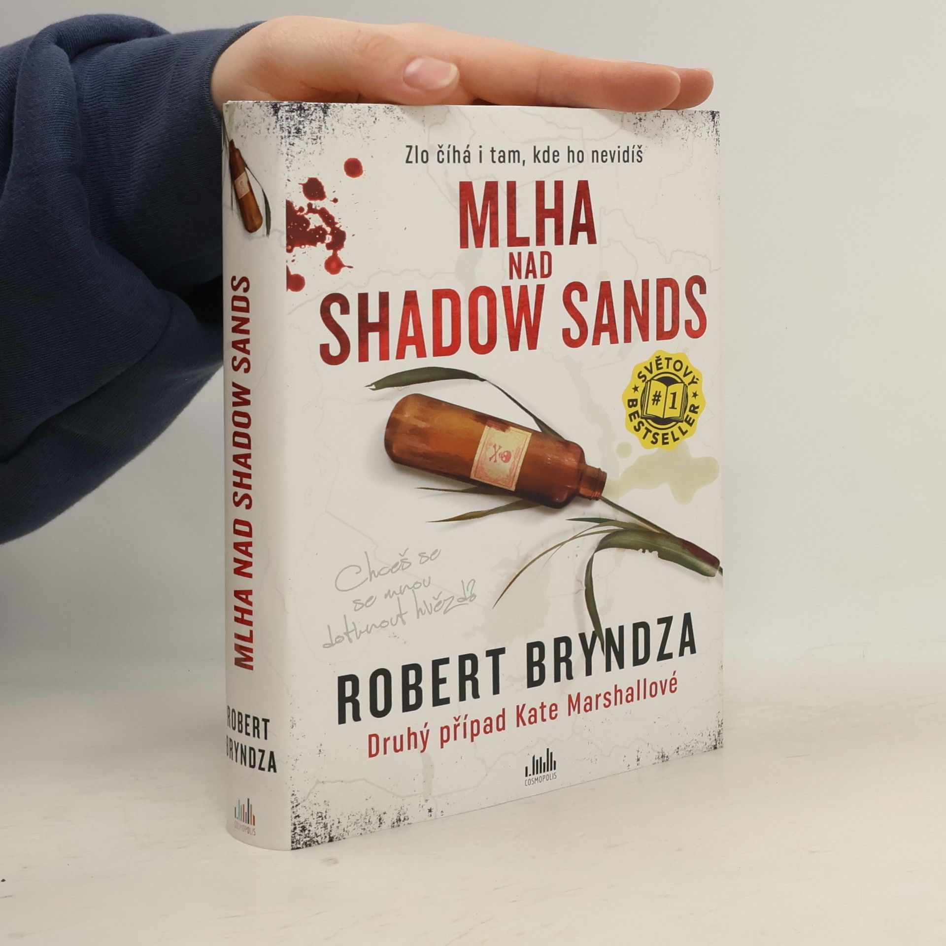 Robert Bryndza Mlha nad Shadow Sands