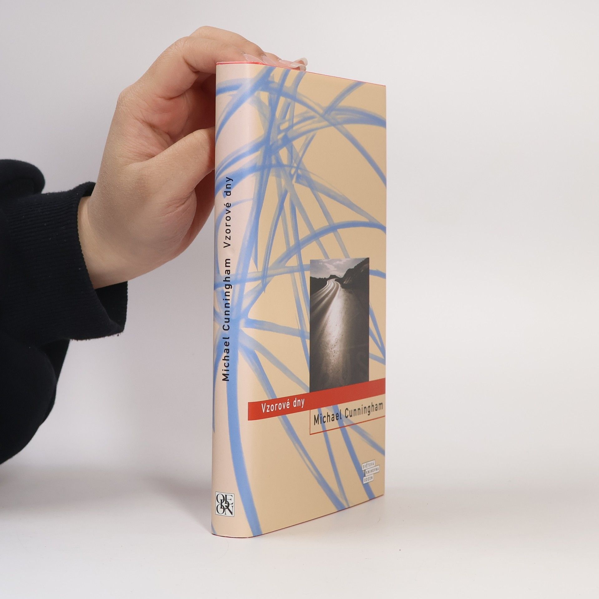 Michael Cunningham Vzorové dny