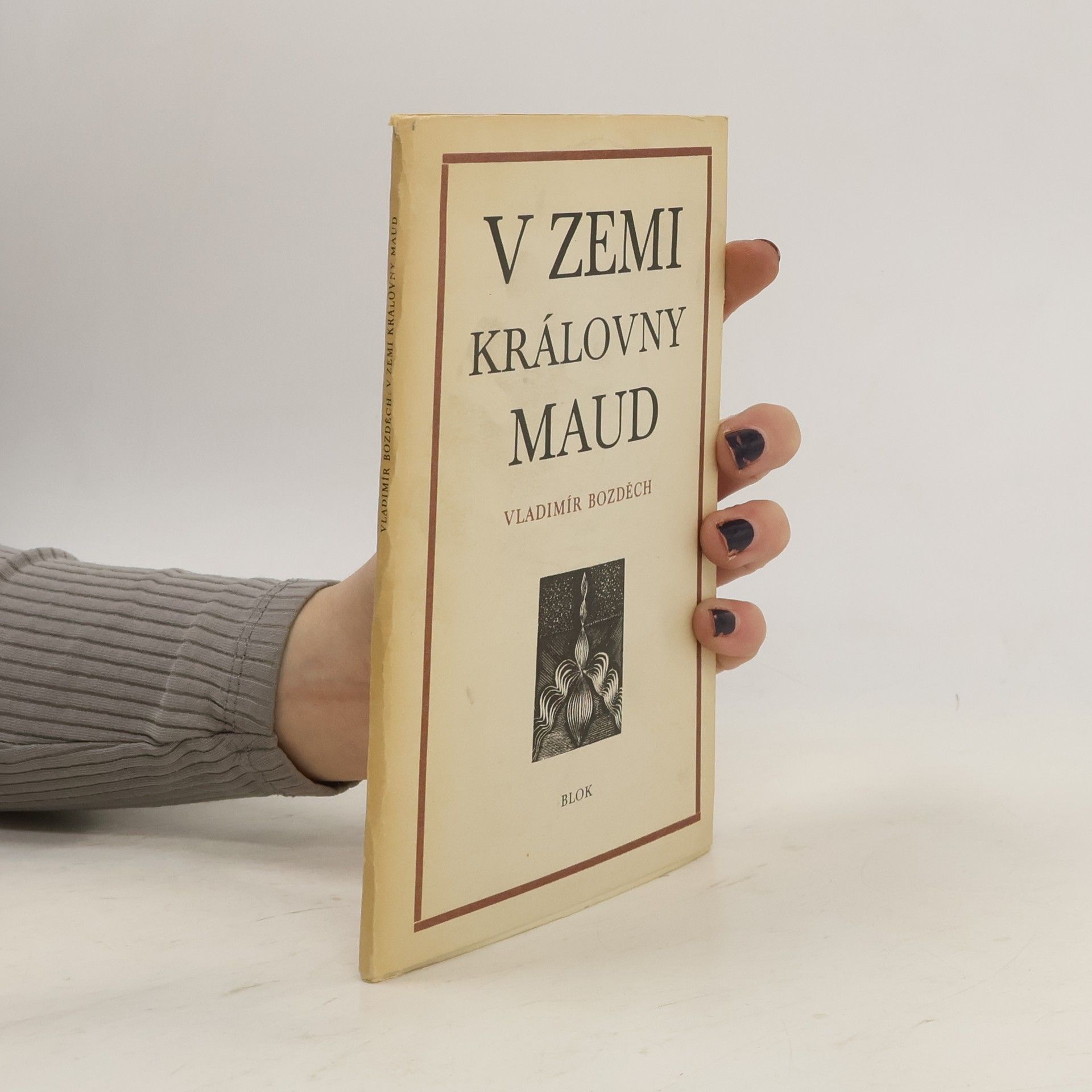 Vladimír Bozděch V zemi královny Maud