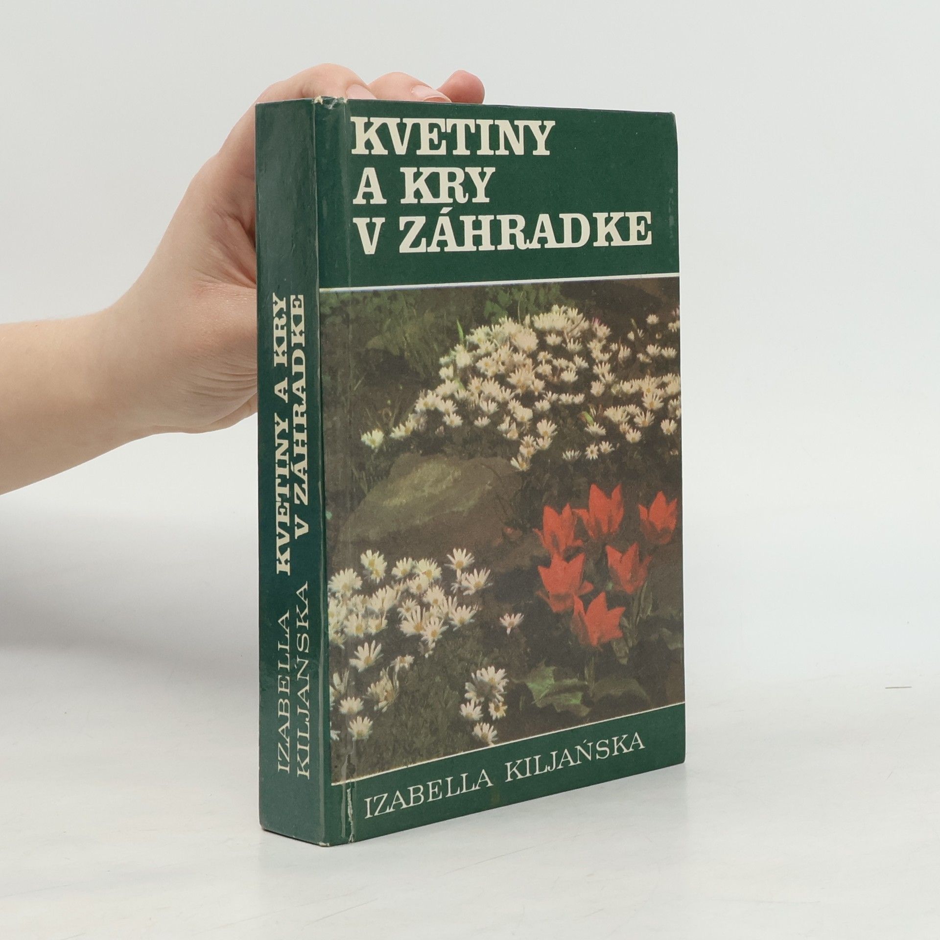 Izabella Kiljanská Kvetiny a kry v záhradke