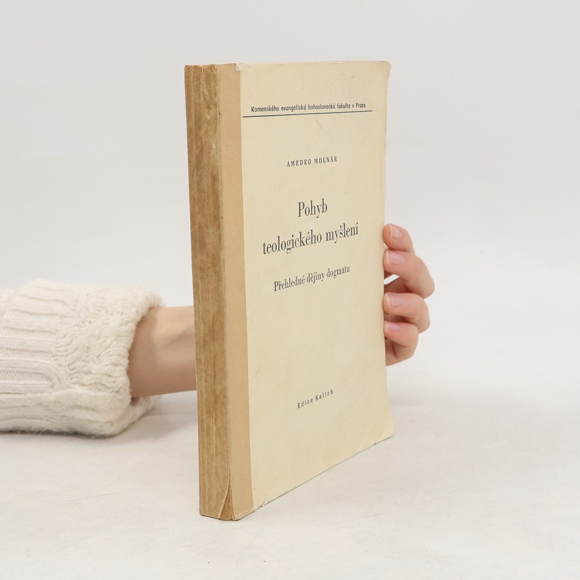 Amedeo Molnár Pohyb teologického myšlení : Přehledná dějiny dogmatu