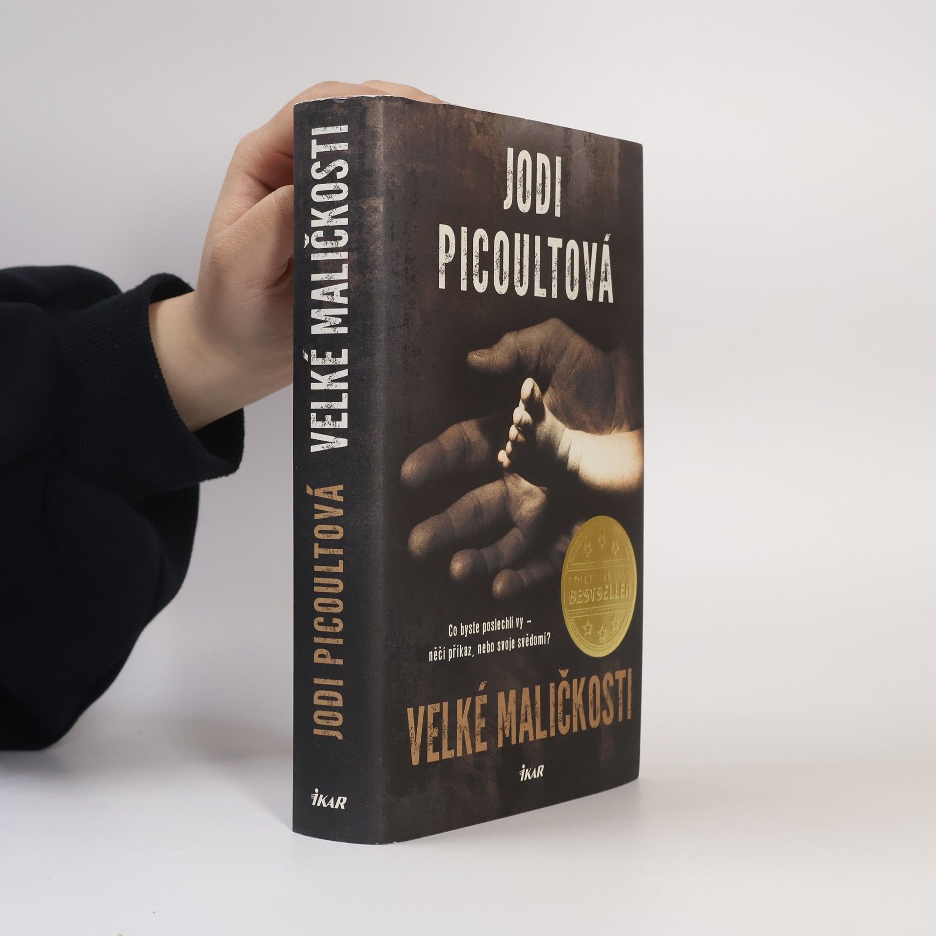 Jodi Picoult Velké maličkosti