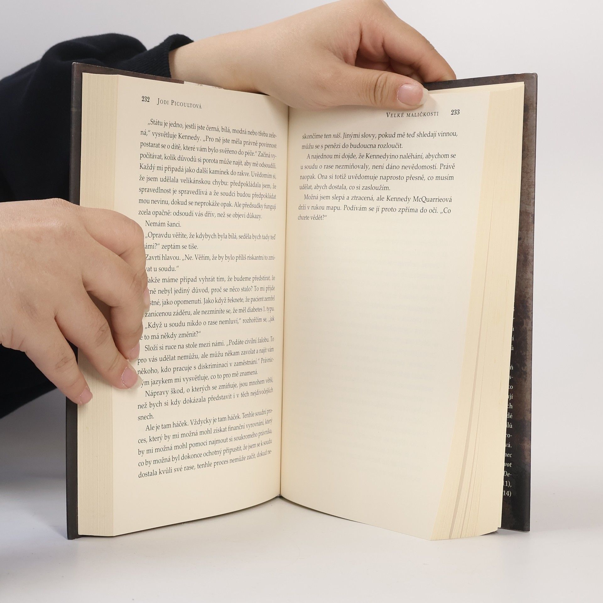 Jodi Picoult Velké maličkosti