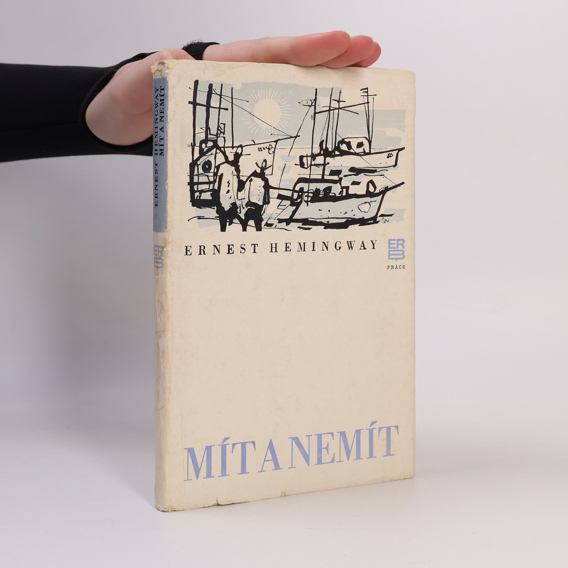 Ernest Hemingway Mít a nemít