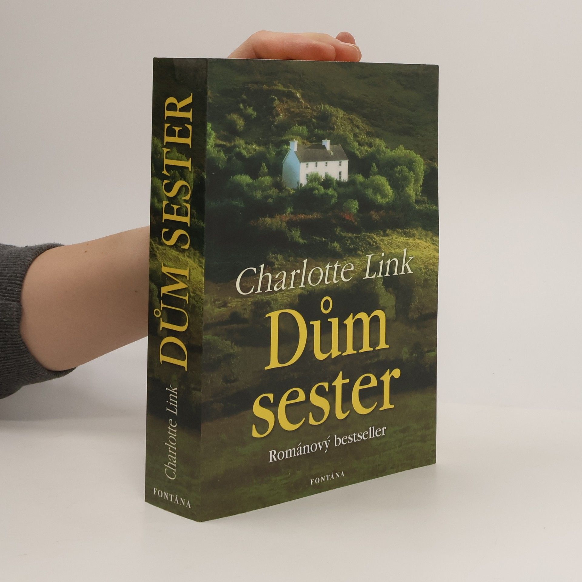 Charlotte Link Dům sester