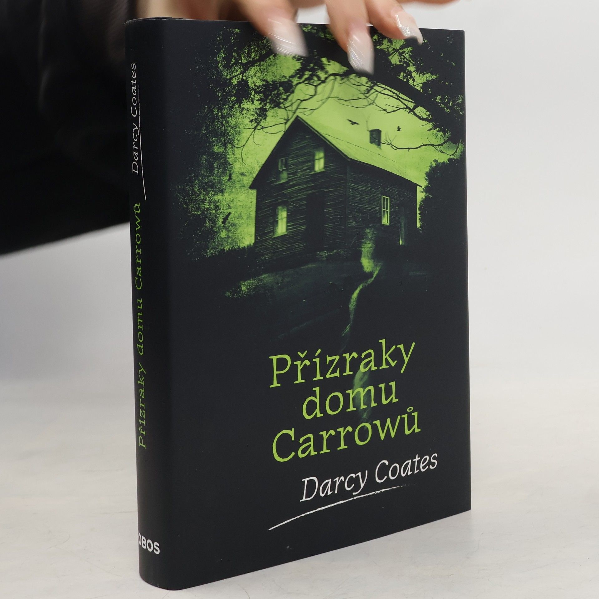 Darcy Coates Přízraky domu Carrowů