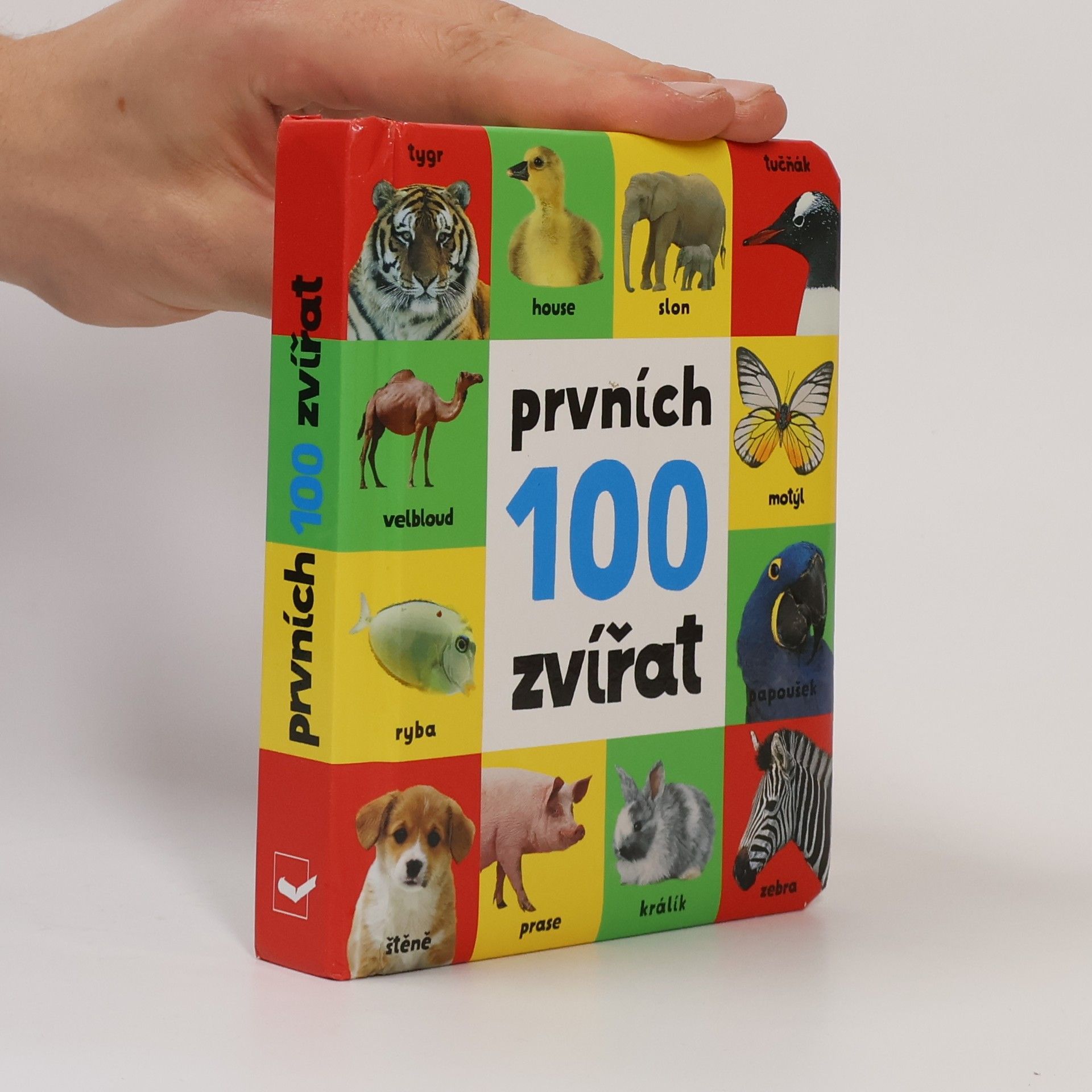 Kolektiv autorů Prvních 100 zvířat