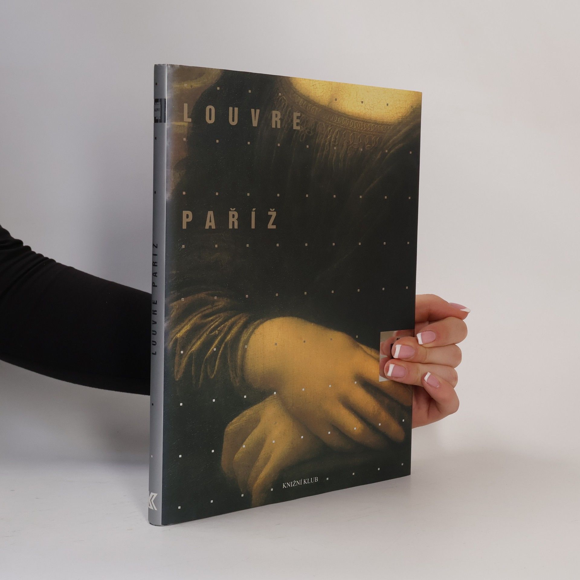 Alessandra Fregolent Slavné galerie světa. Louvre - Paříž