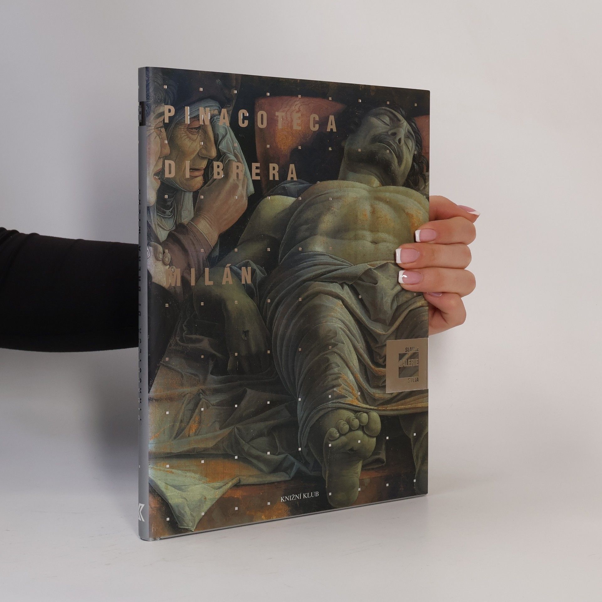 Stefano Zuffi Slavné galerie světa. Pinacoteca di Brera - Milán