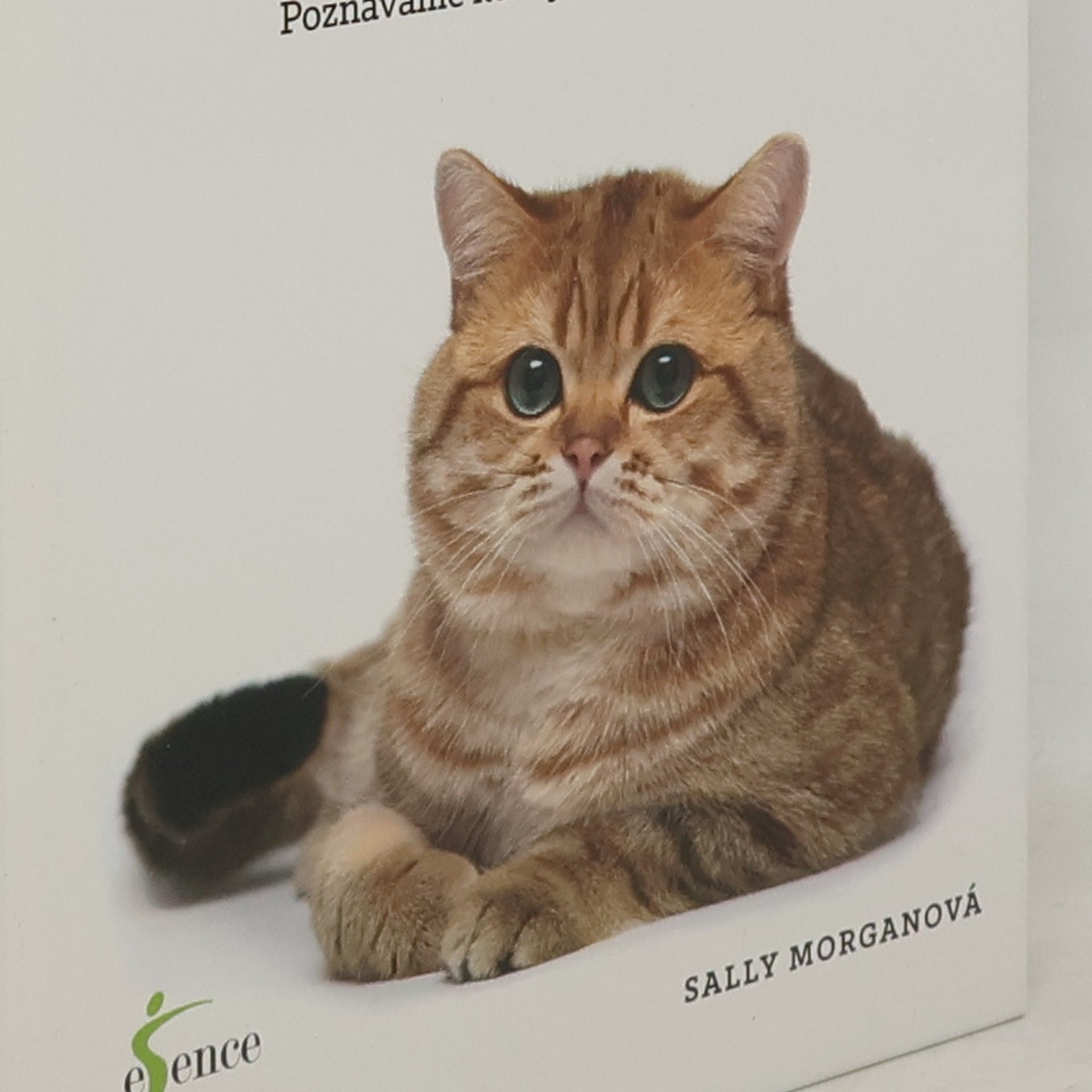 Sally Morgan Inteligentní kočka : poznáváme kočky a jejich schopnosti