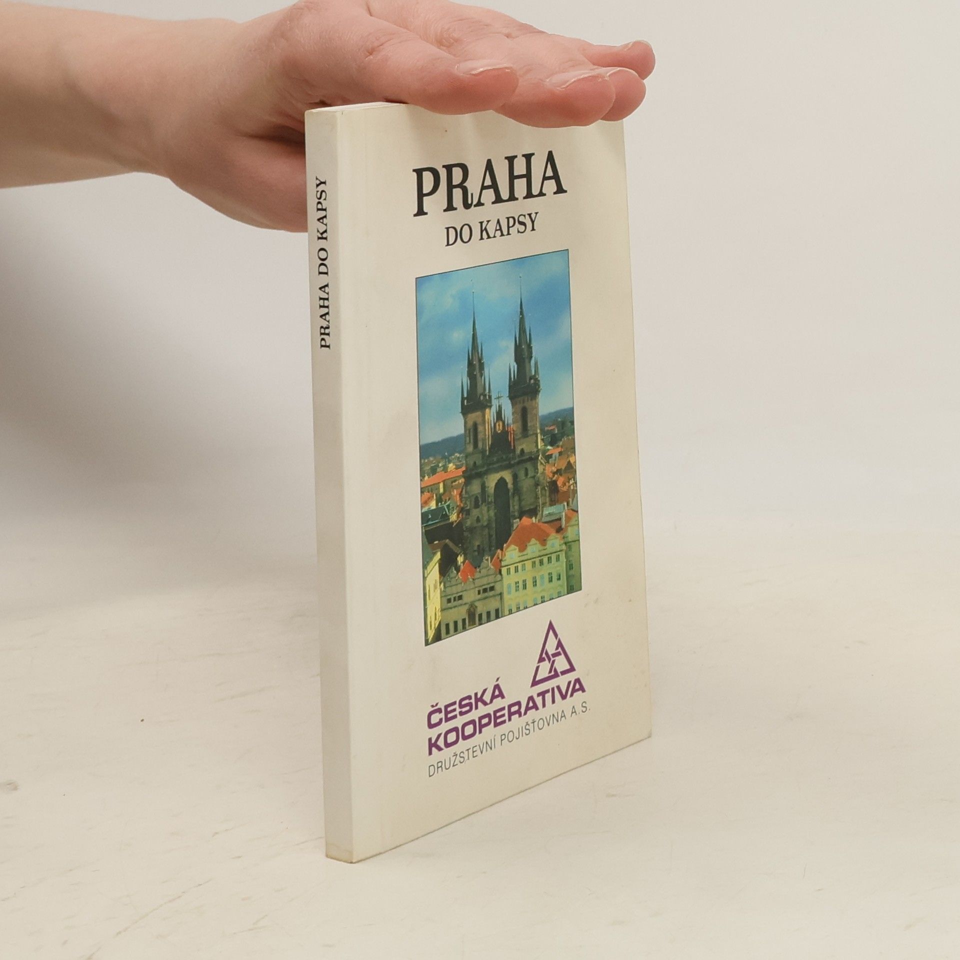 Collectif d'auteurs Praha do kapsy