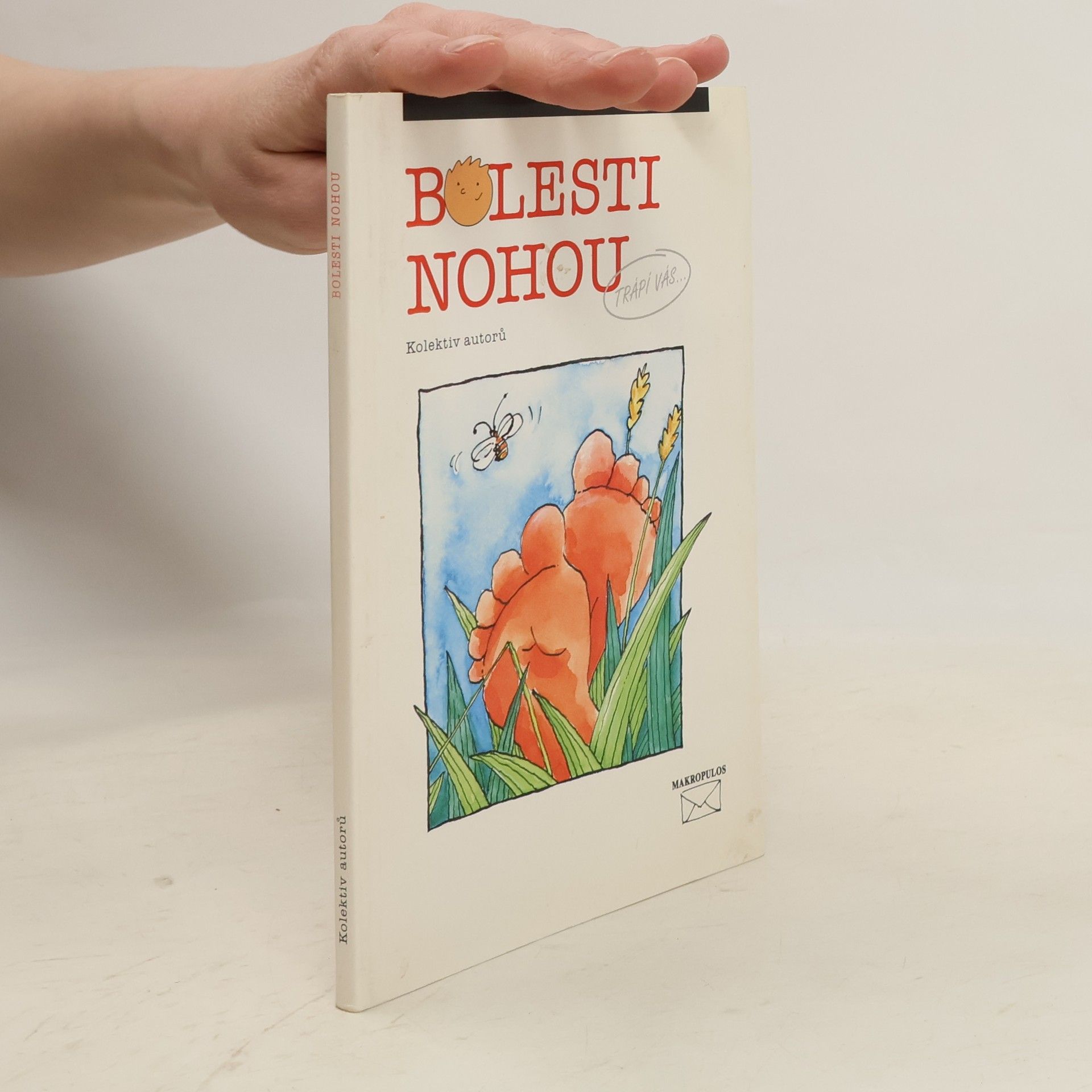 Lubomír Houdek Bolesti nohou