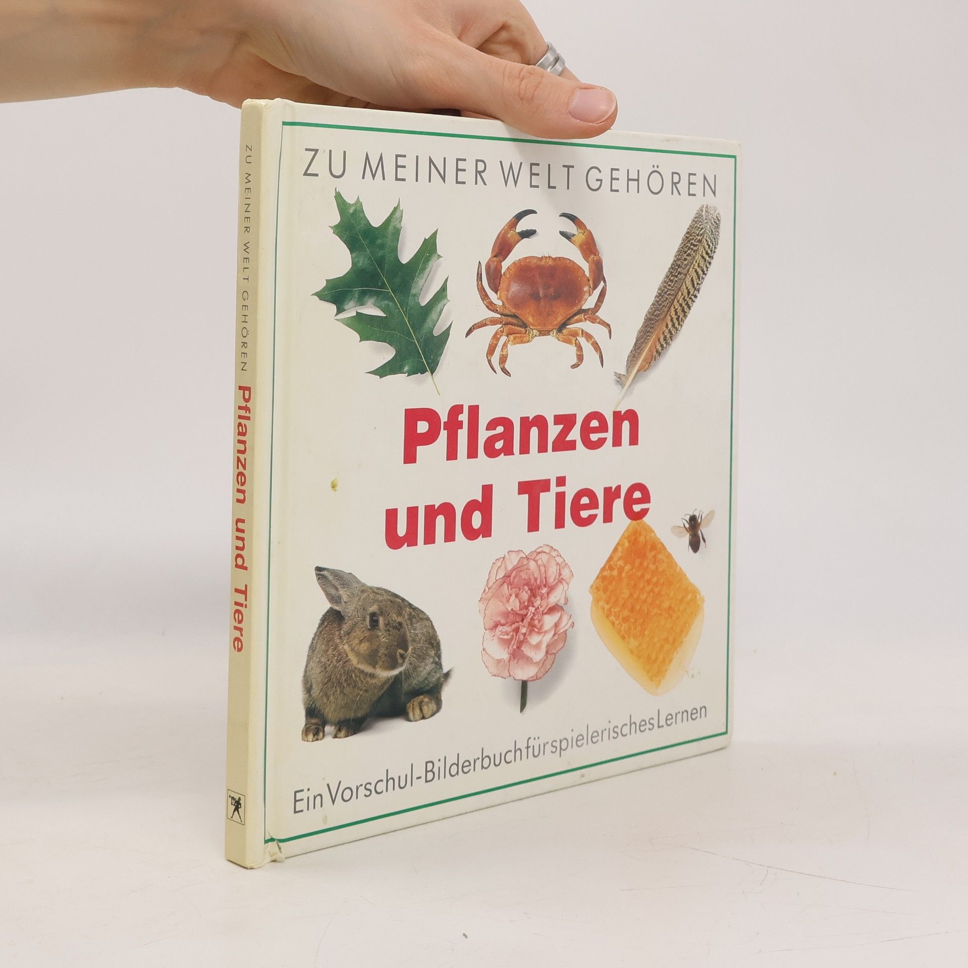 Sue Unstead Zu meiner Welt gehören Pflanzen und Tiere