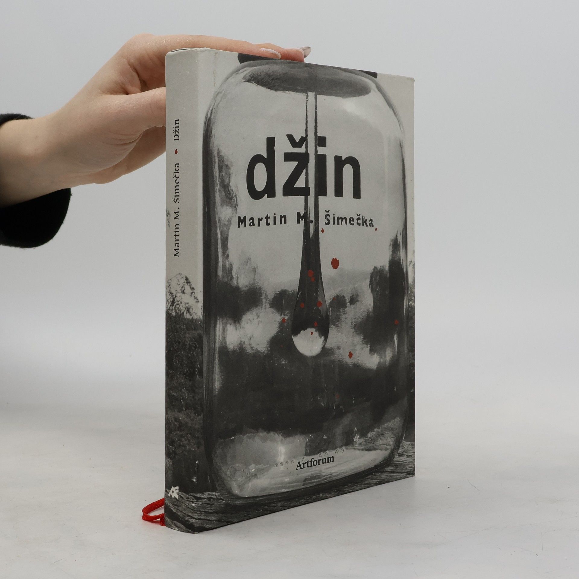 Martin M. Šimečka Džin