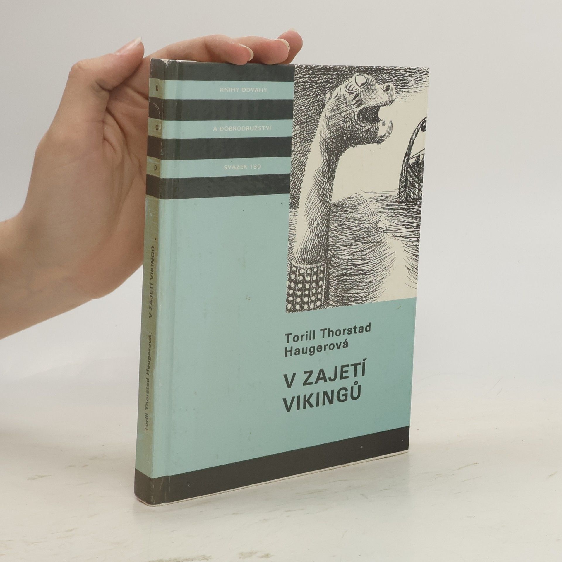 V zajetí vikingů