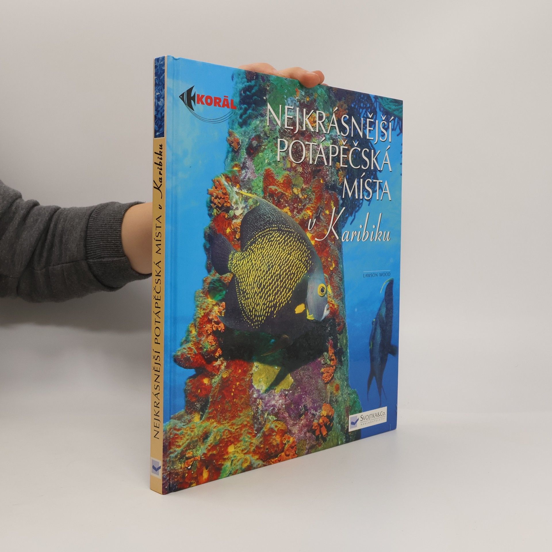 Nejkrásnější potápěčská místa v Karibiku