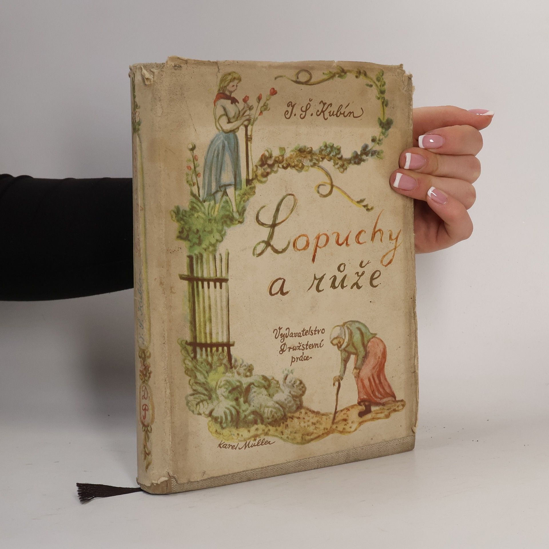 Josef Štefan Kubín Lopuchy a růže