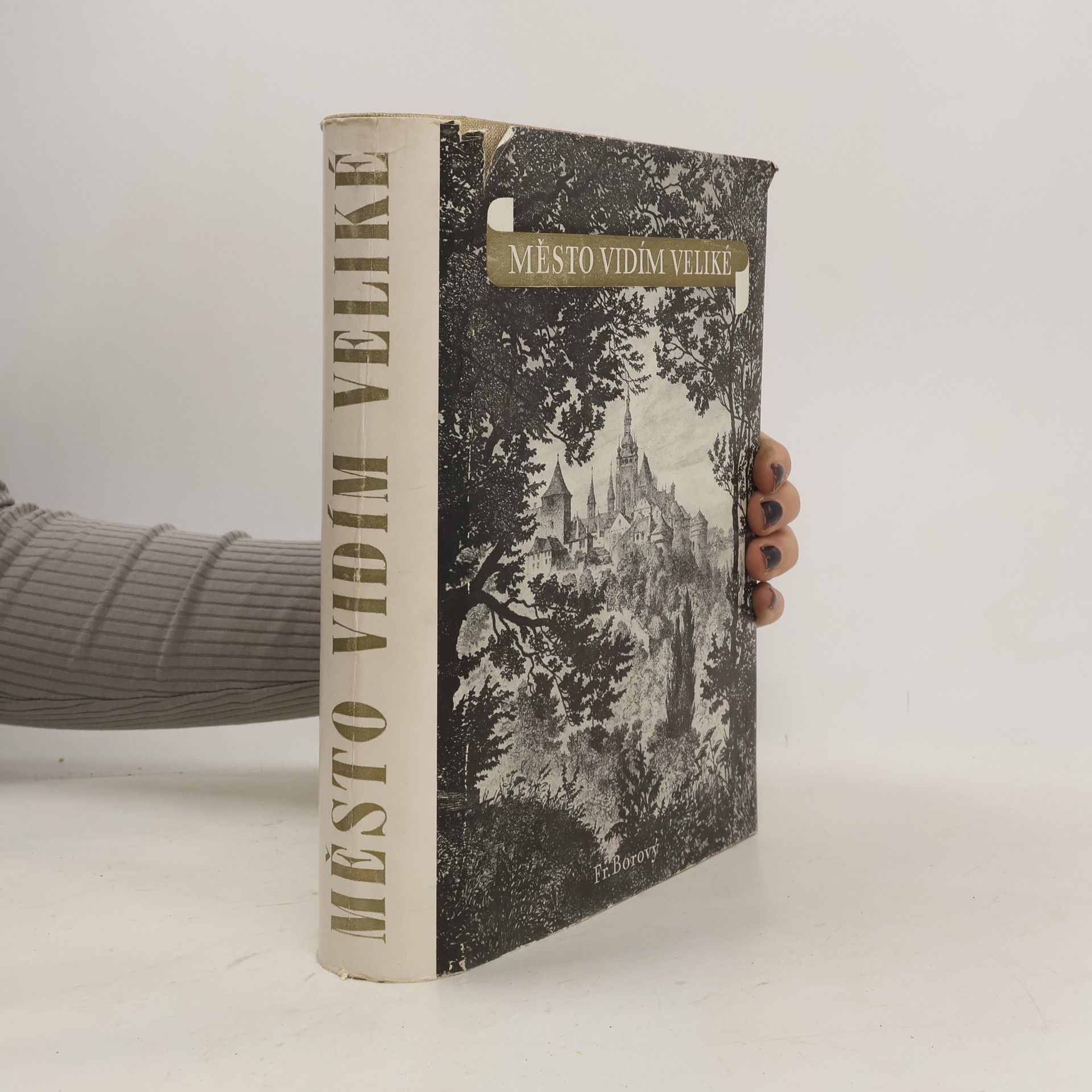 Vincy Schwarz Město vidím veliké. Cizinci o Praze