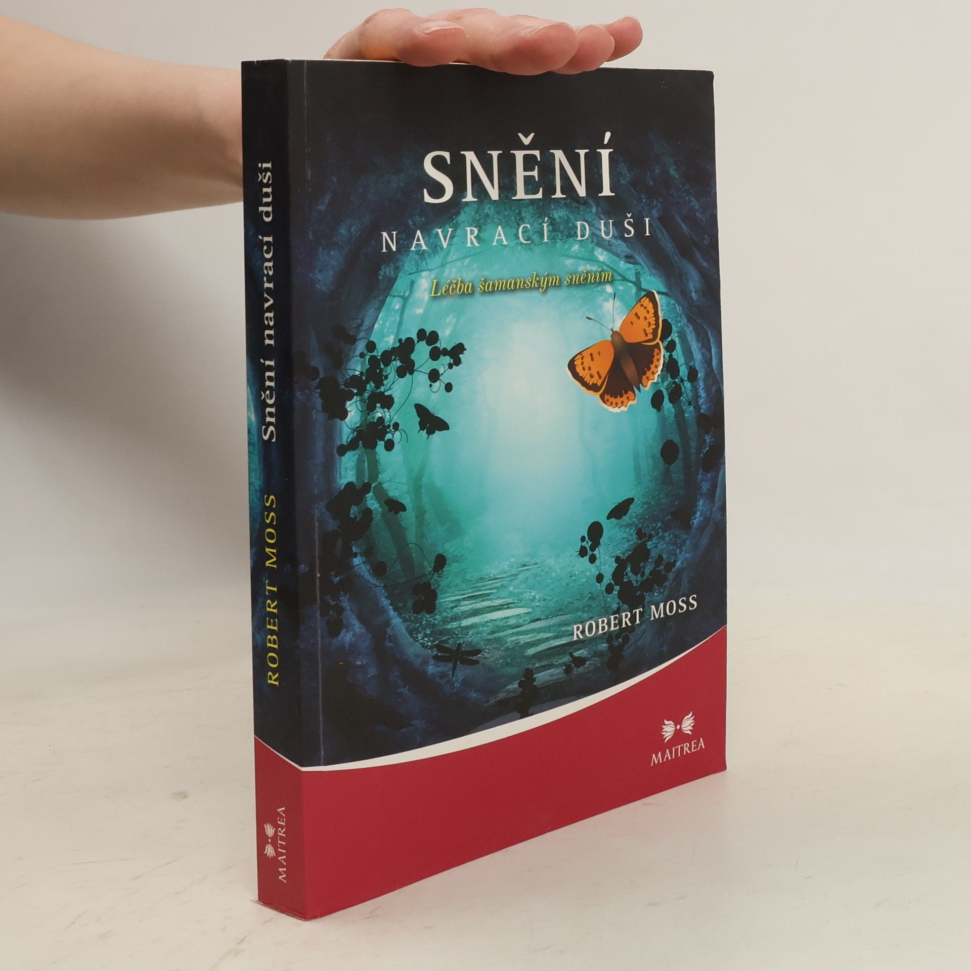 Robert Moss Snění navrací duši. Léčba šamanským sněním