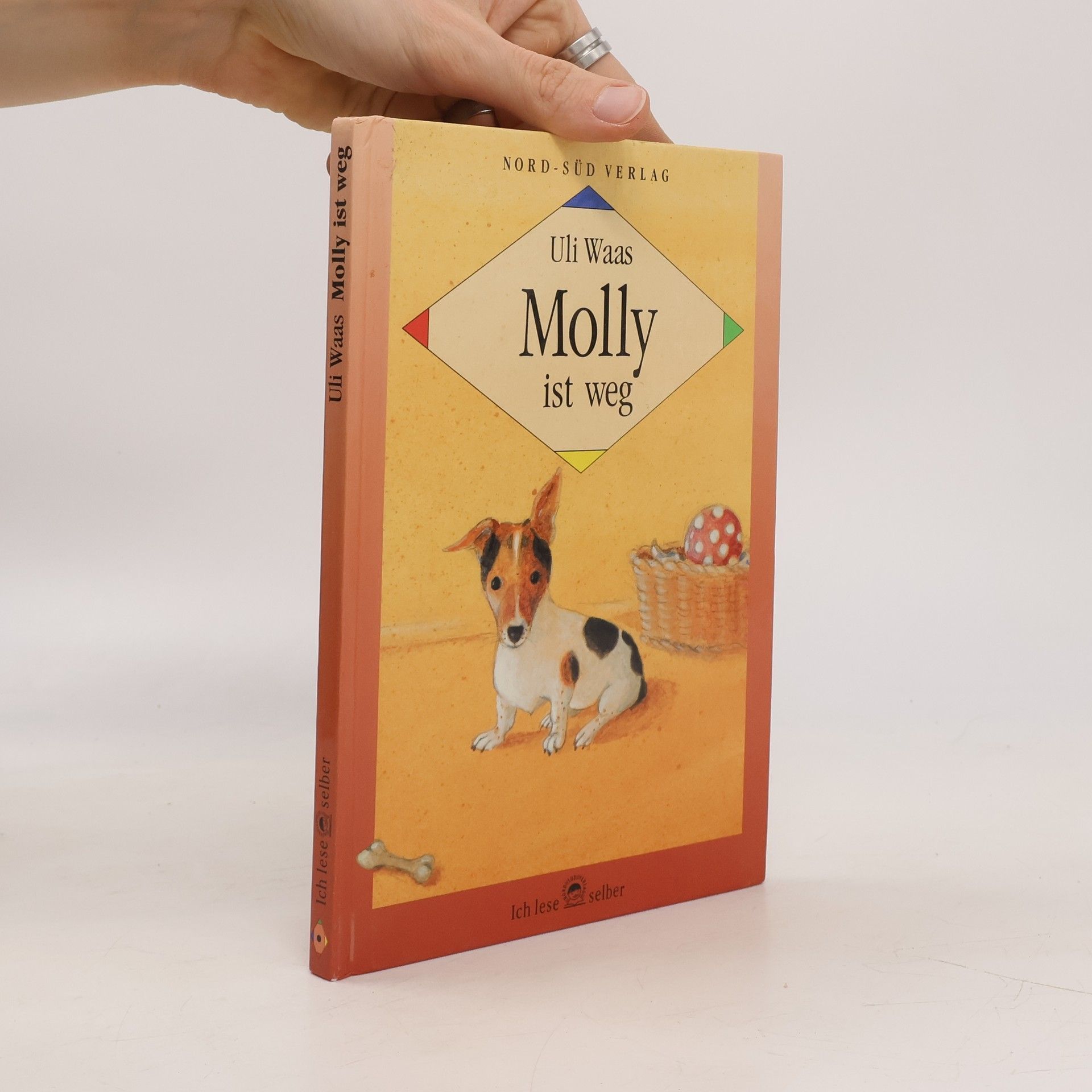Autorenkollektiv Molly ist weg