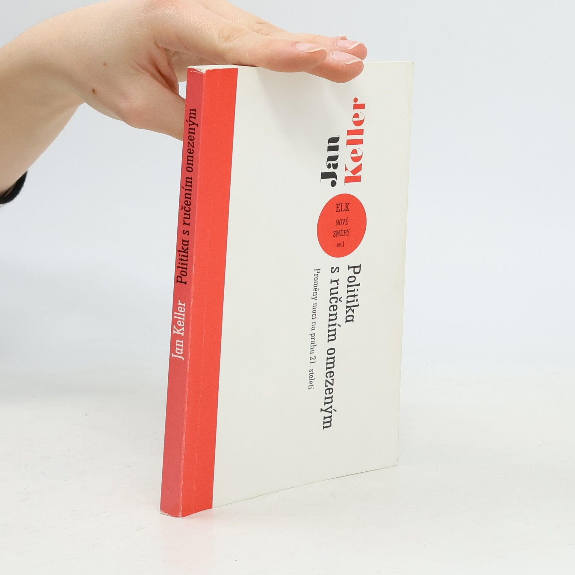 Politika s ručením omezeným. Proměny moci na prahu 21. století