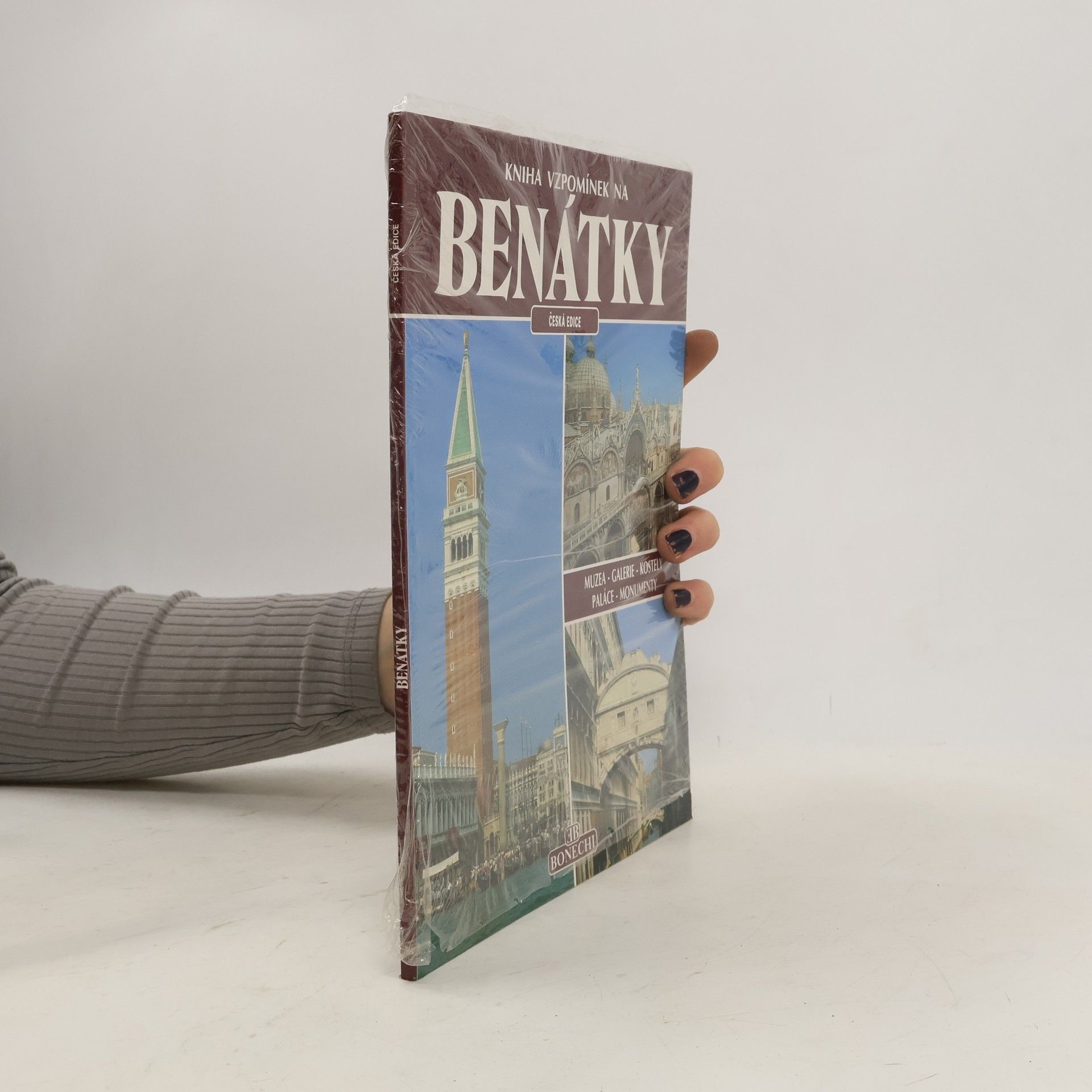 Františka Lopatová Senesi Kniha vzpomínek na Benátky