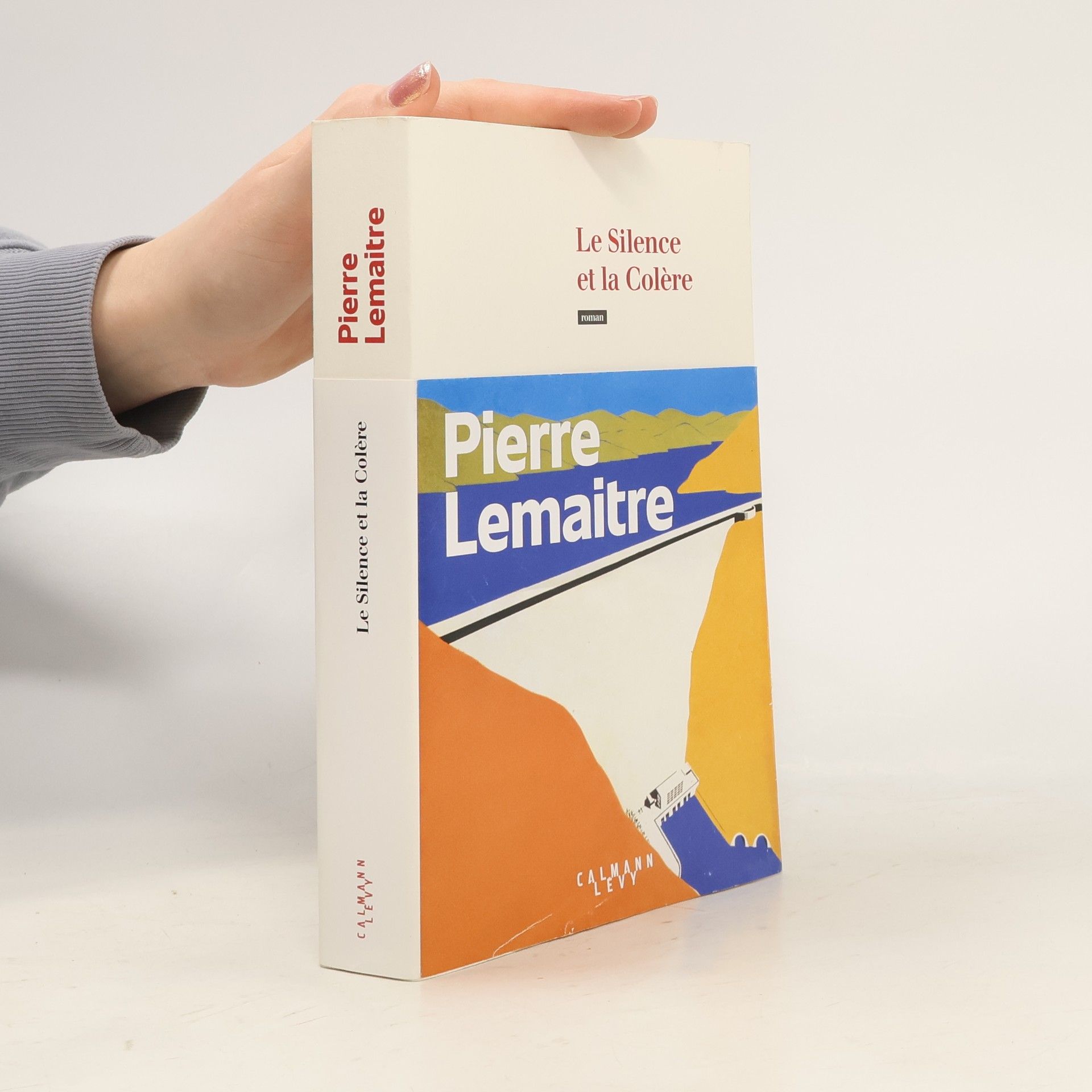 Pierre Lemaitre Le Silence et la Colère