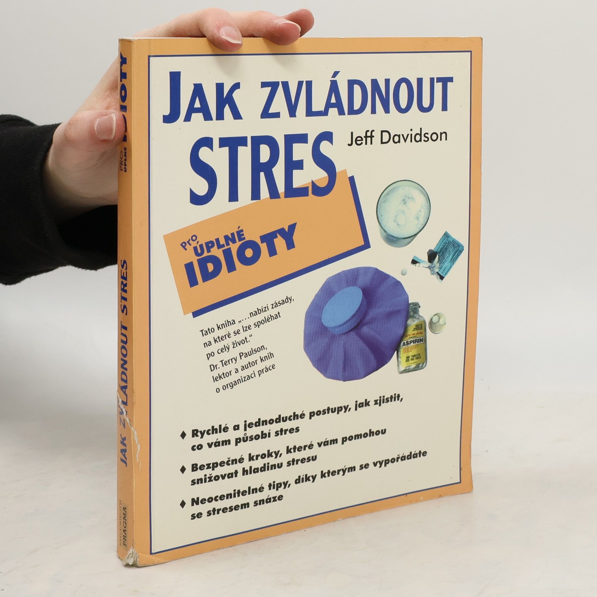 Jeff Davidson Jak zvládnout stres: Pro úplné idioty