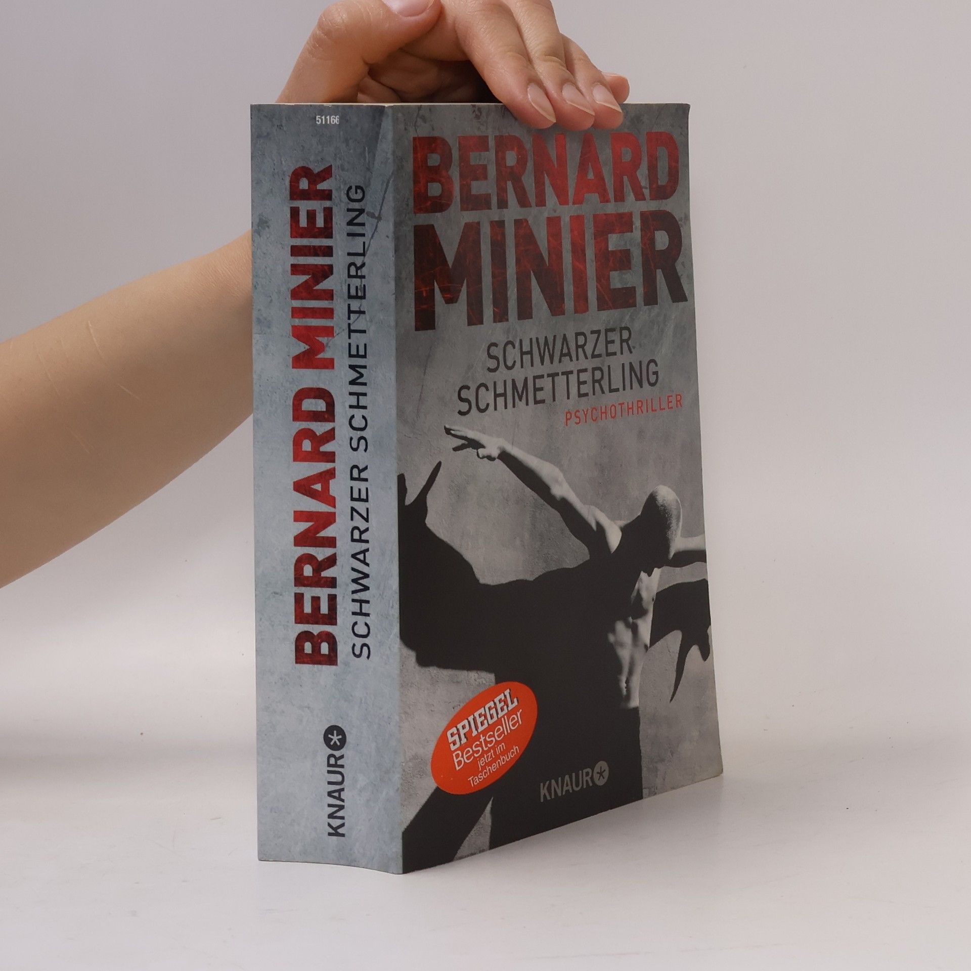 Bernard Minier Schwarzer Schmetterling