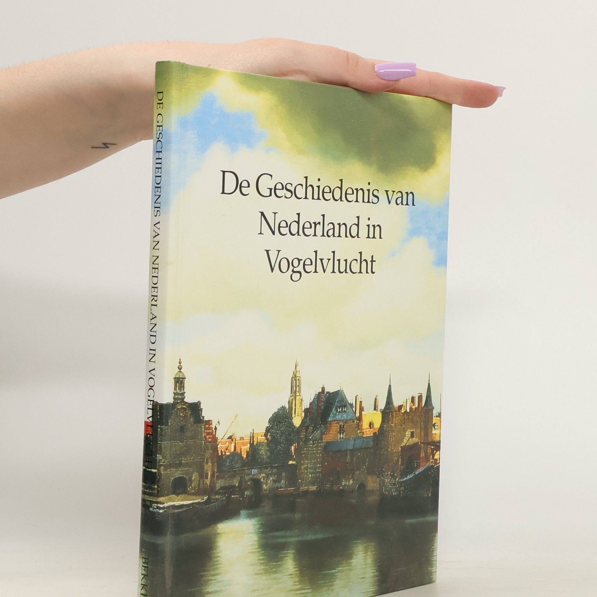 Petrus Johannes Antonius Nicolaas Rietbergen De geschiedenis van Nederland in vogelvlucht