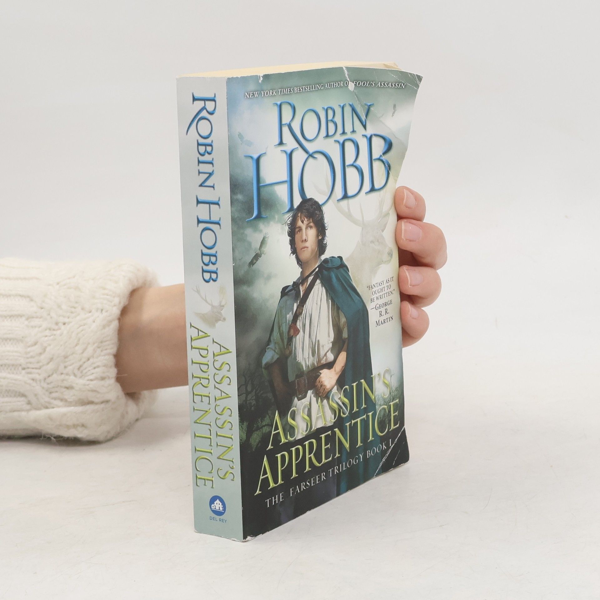 Robin Hobb Assassin's Apprentice