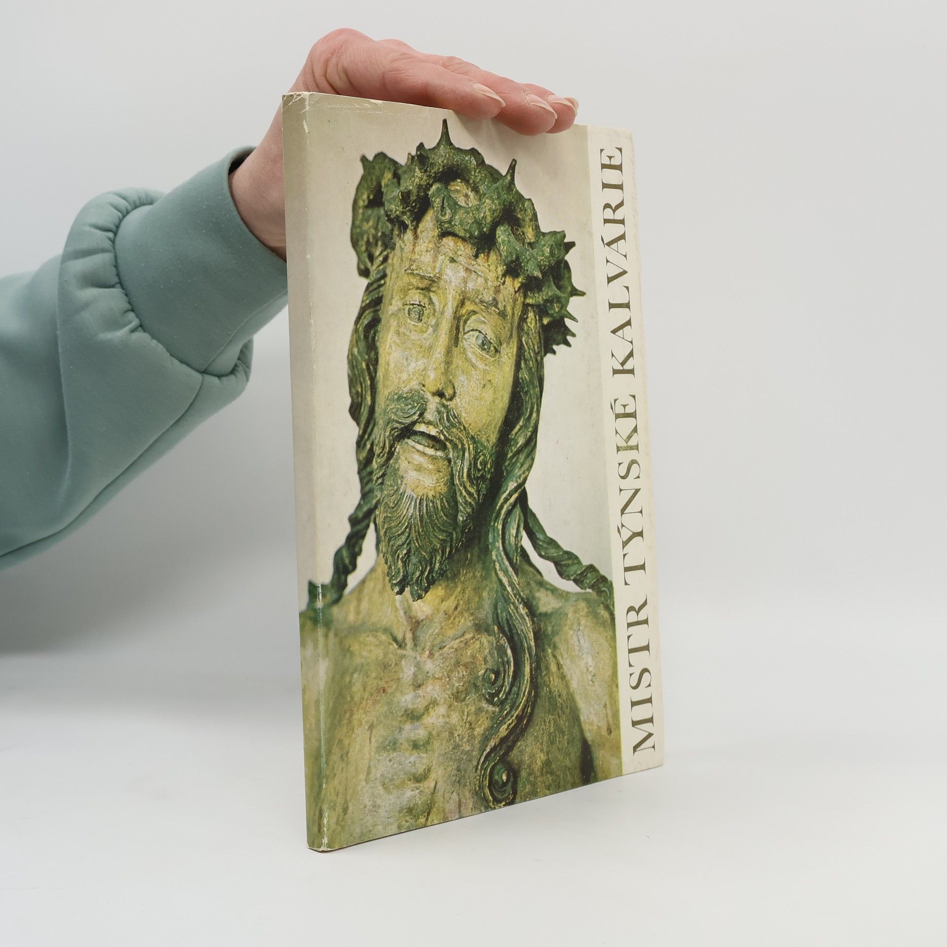 Kolektiv autorů Mistr Týnské kalvárie: Pražská řezbářská dílna předhusitské doby