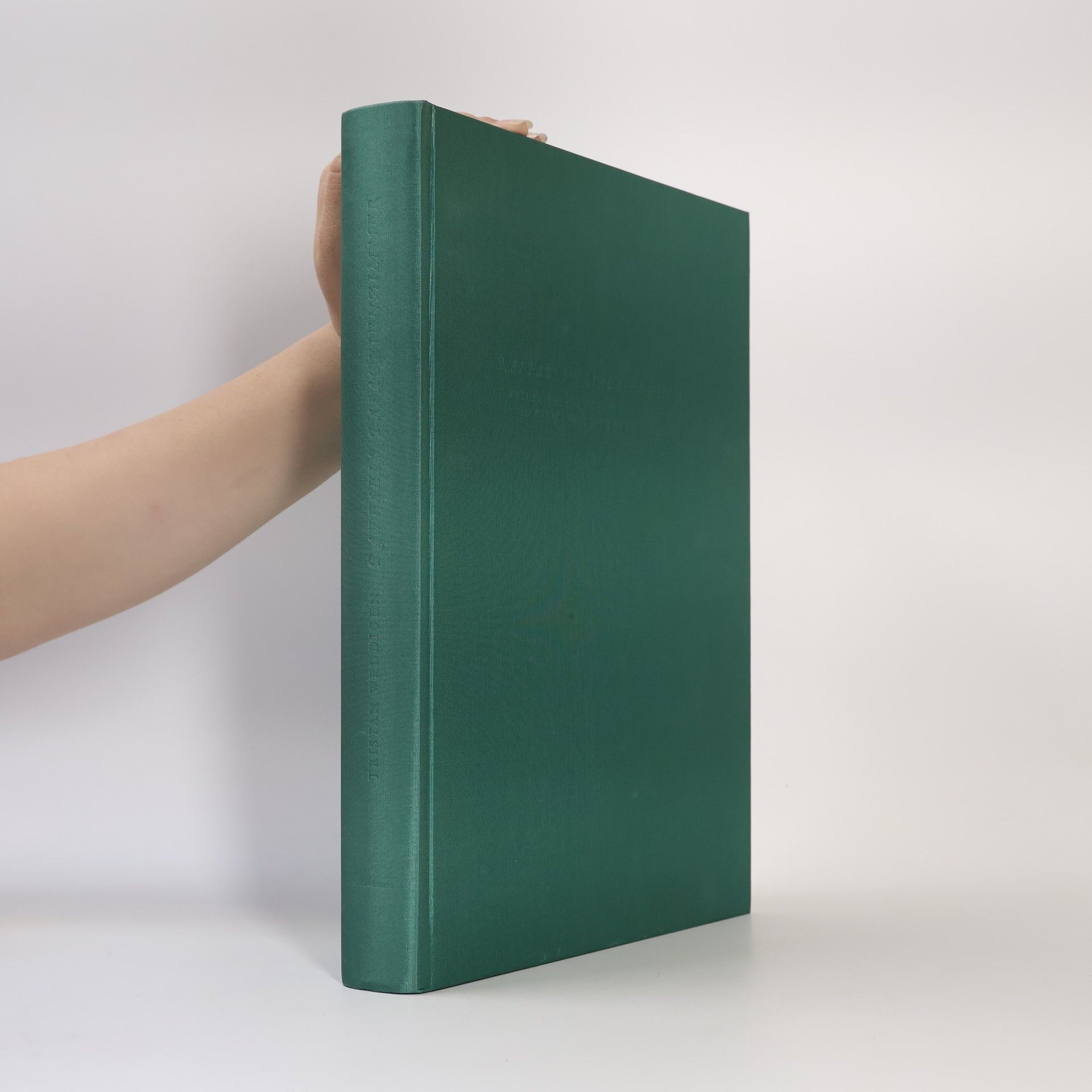 Tristan Weddigen Raffaels Papageienzimmer