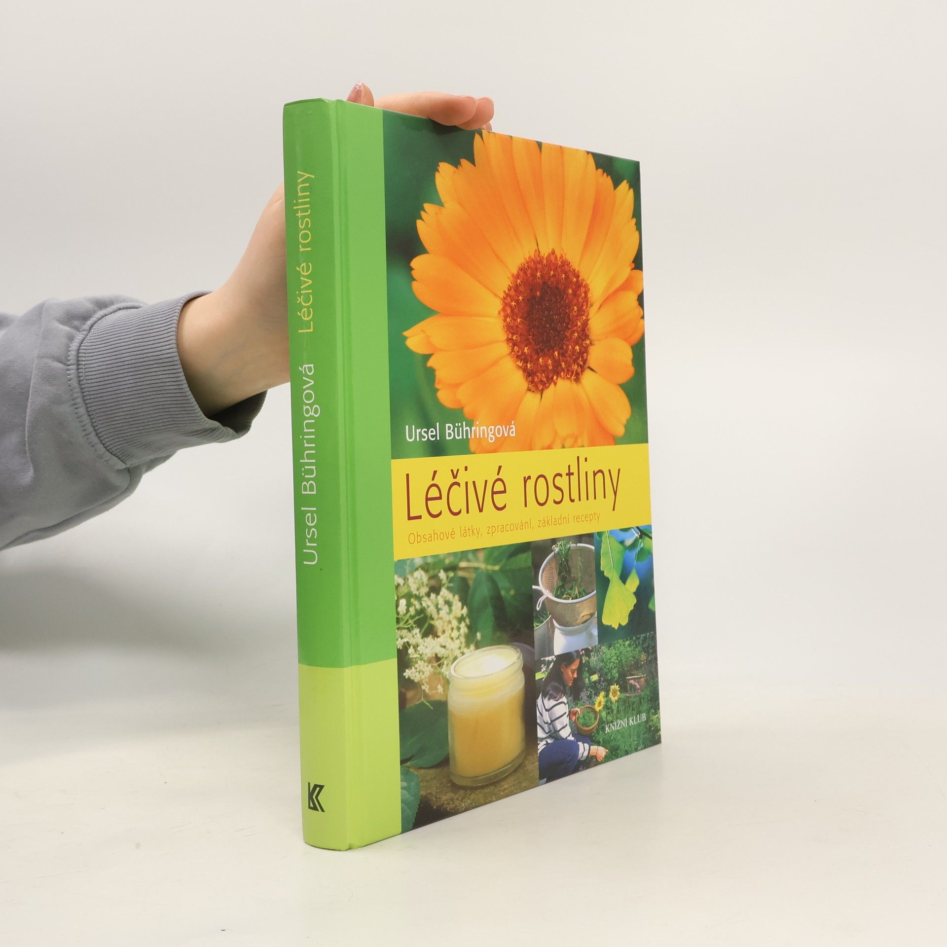 Ursel Bühring Léčivé rostliny - Obsahové látky, zpracování, základní recepty