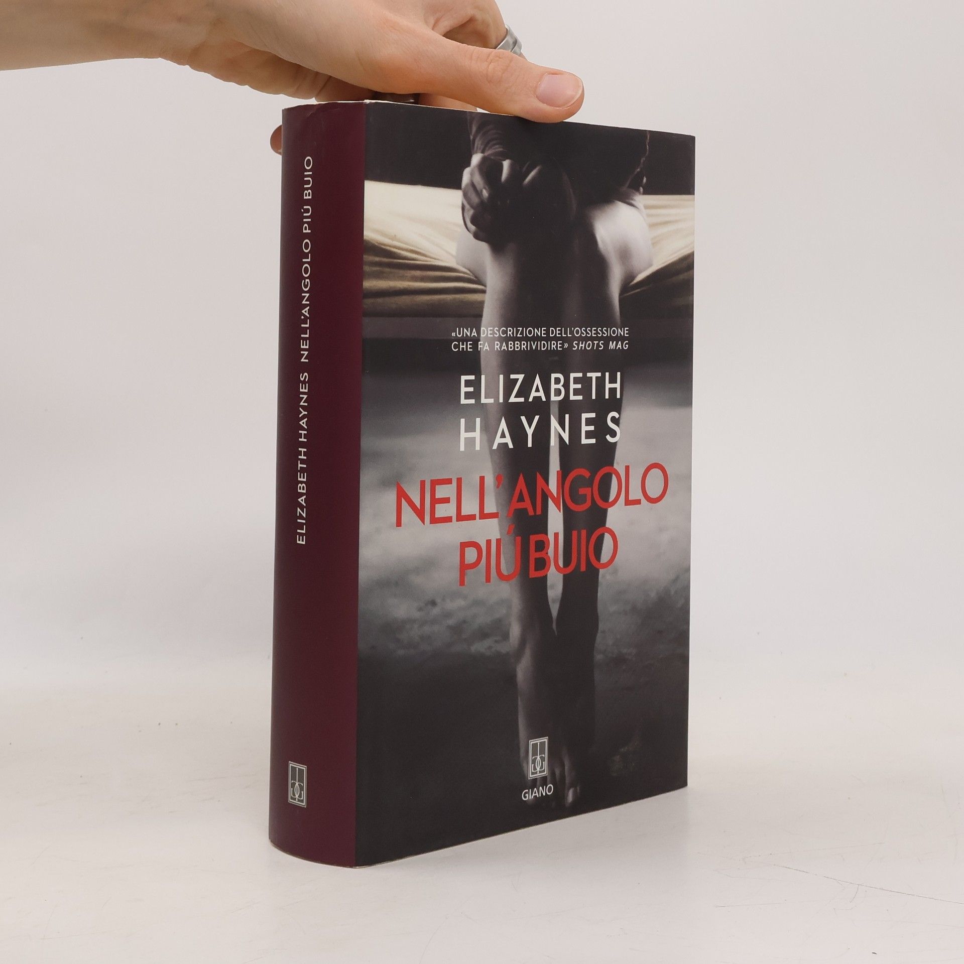 Elizabeth Haynes Nell'angolo più buio